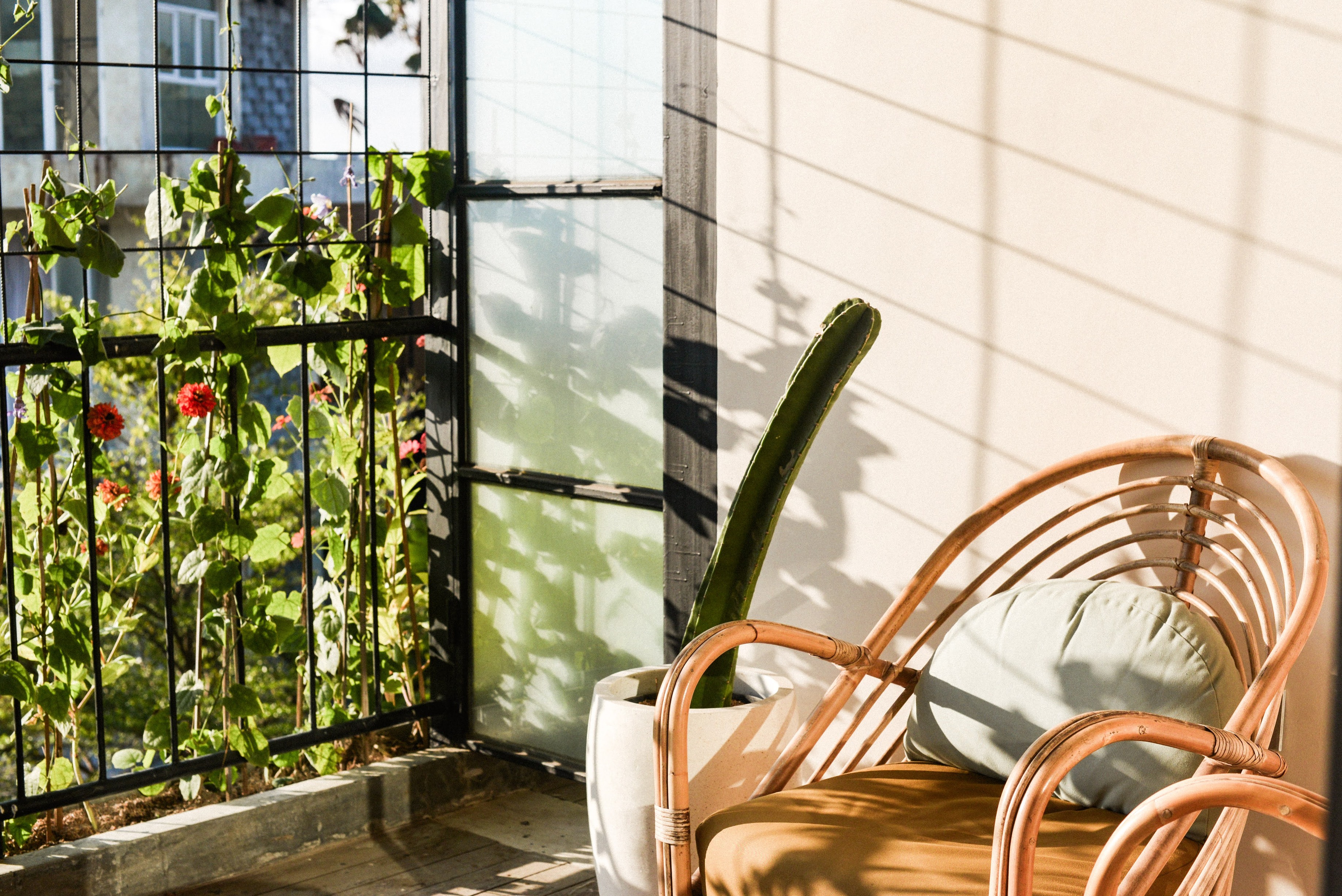 ZHC 105 SEPTEMBER 23 (10)