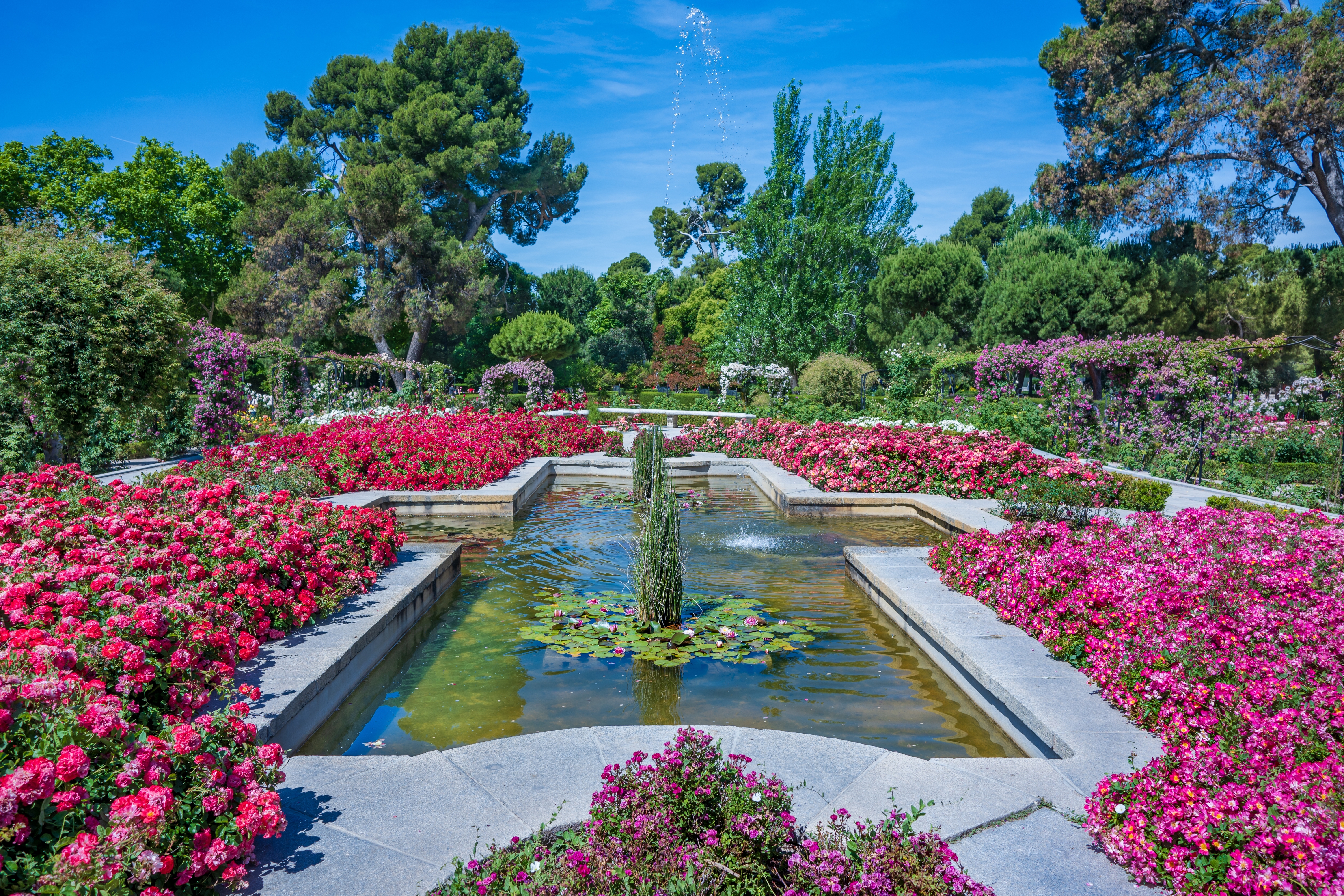 Shutterstock 2503207541 View Of The Fountain In The Rose Garden At El Retiro Park. Madrid.