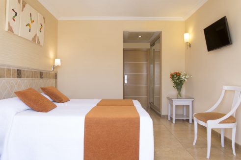 Vista Plaza Plus Room (3)