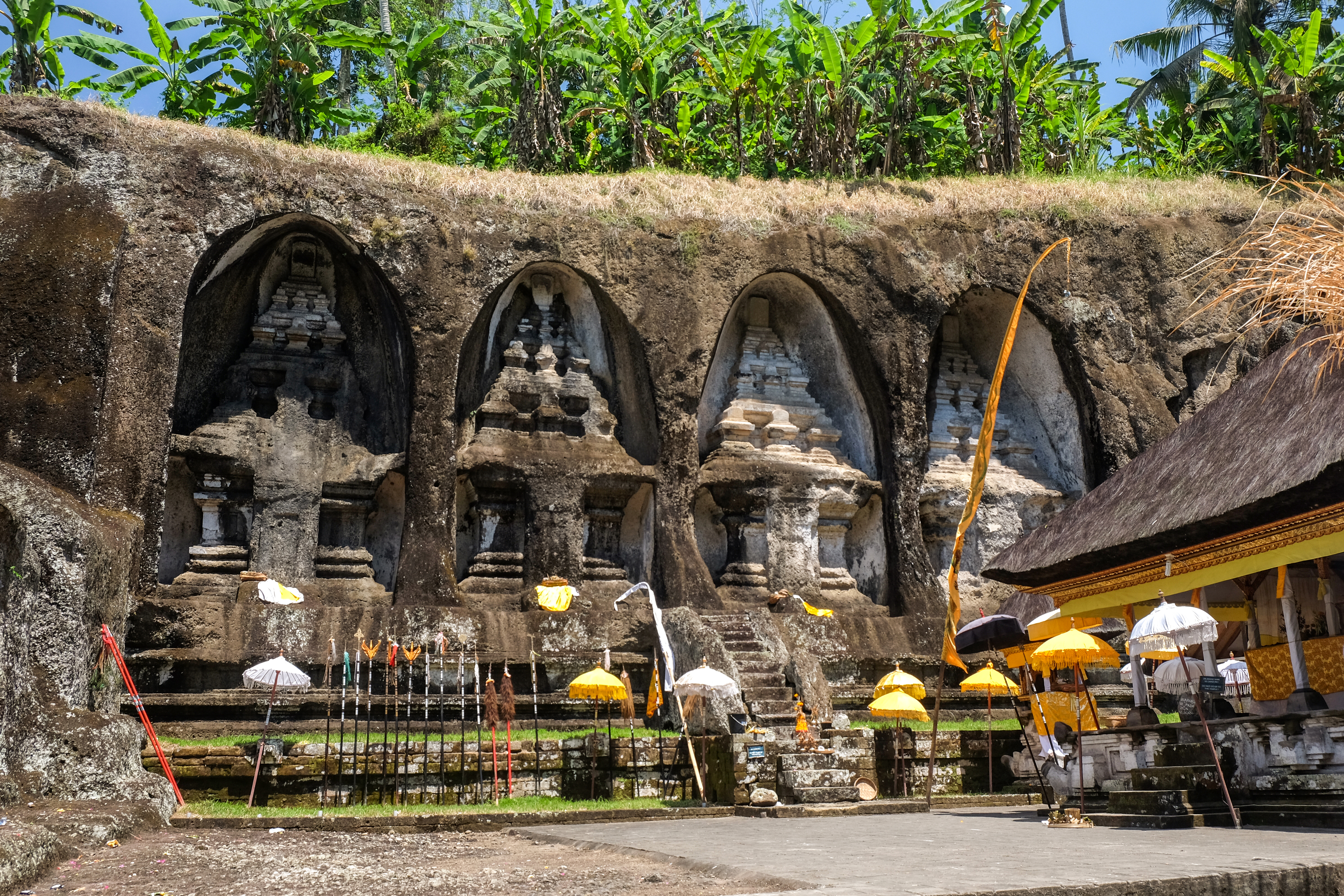 Shutterstock 719770294