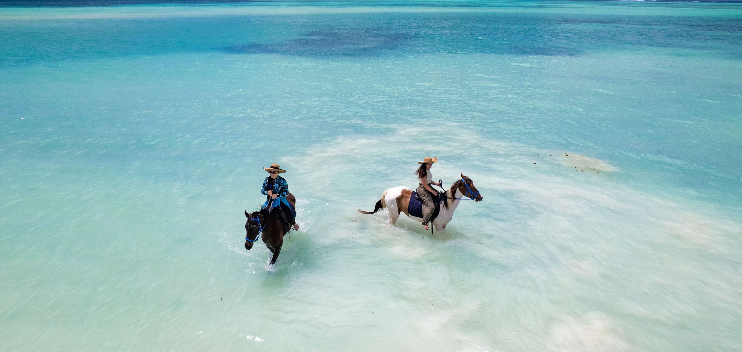 Neptune Pwani Swimming With Horses 9