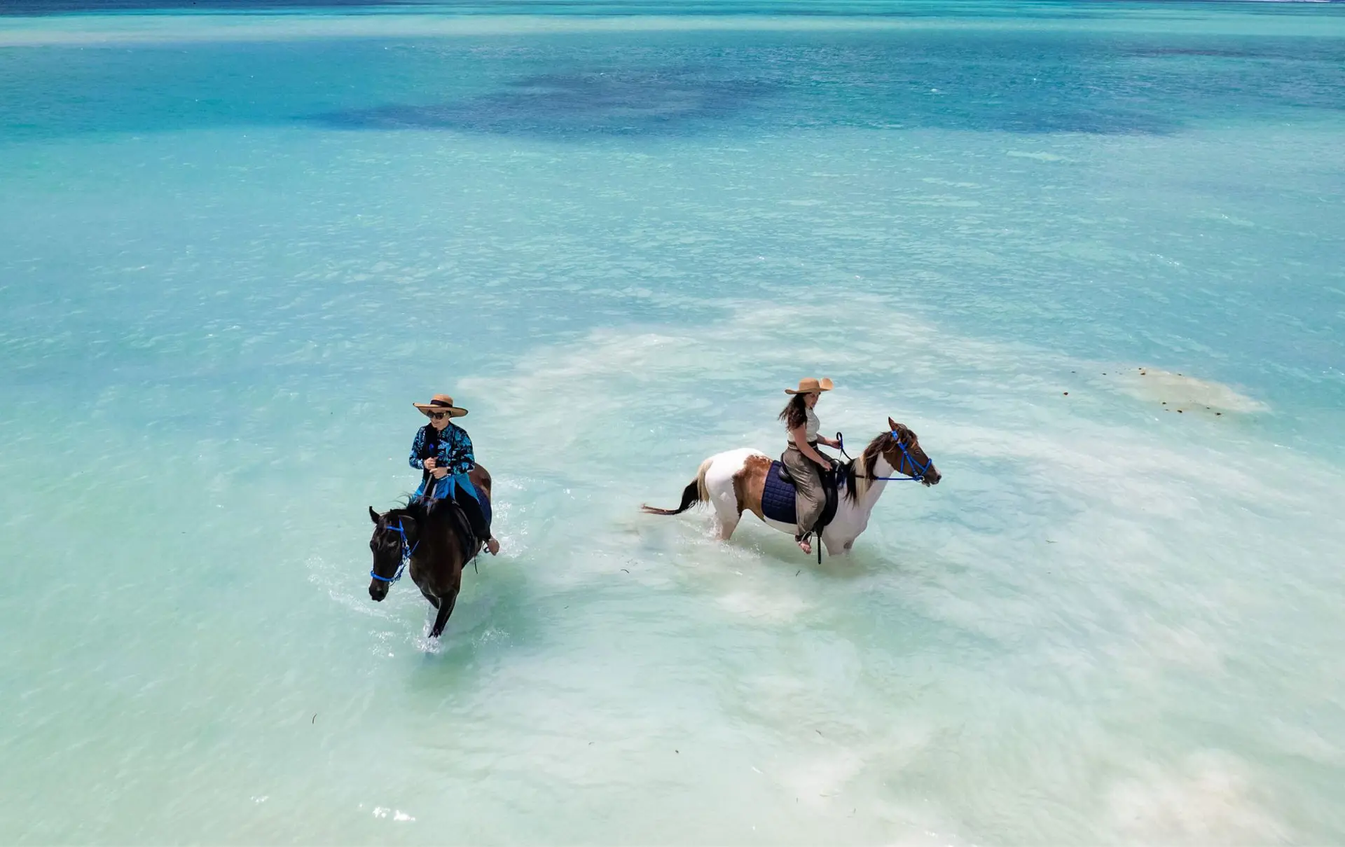 Neptune Pwani Swimming With Horses 9