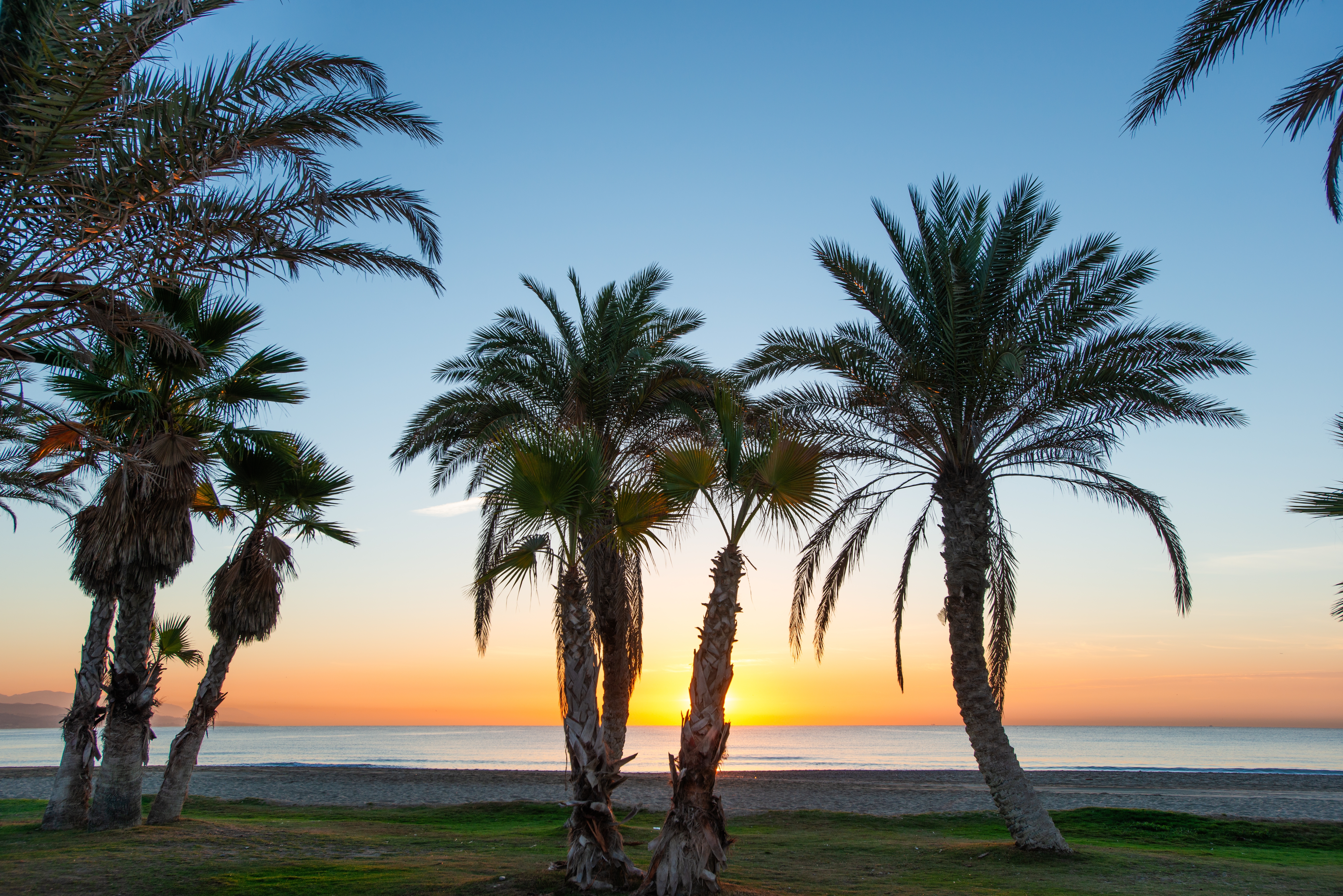 Malaga Playa De La Misericordia Shutterstock 2601443375