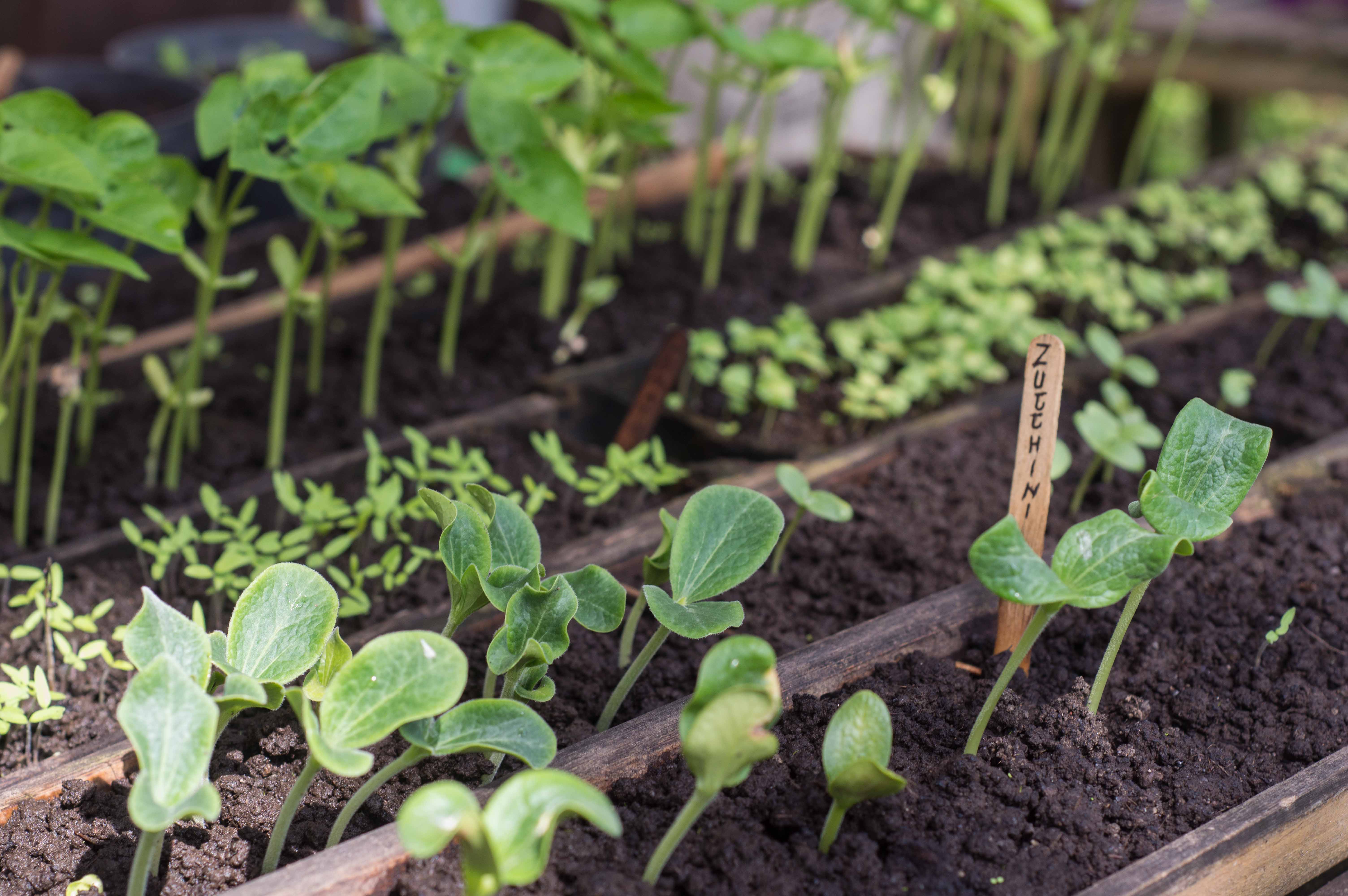 Foodsmallnew (3 Of 5)