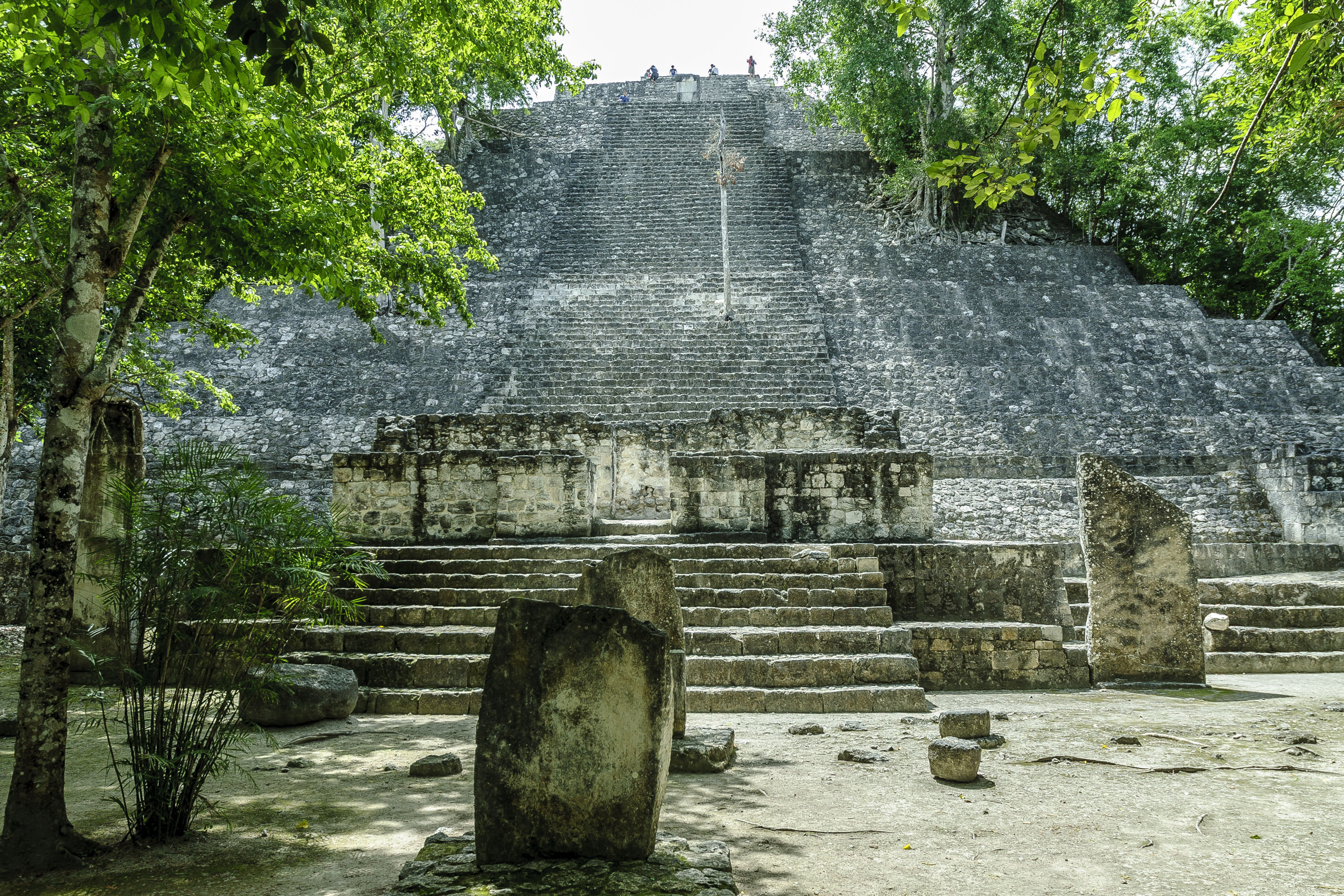 Mayapyramide i Calakmul omgivet af jungle i det sydlige Mexico