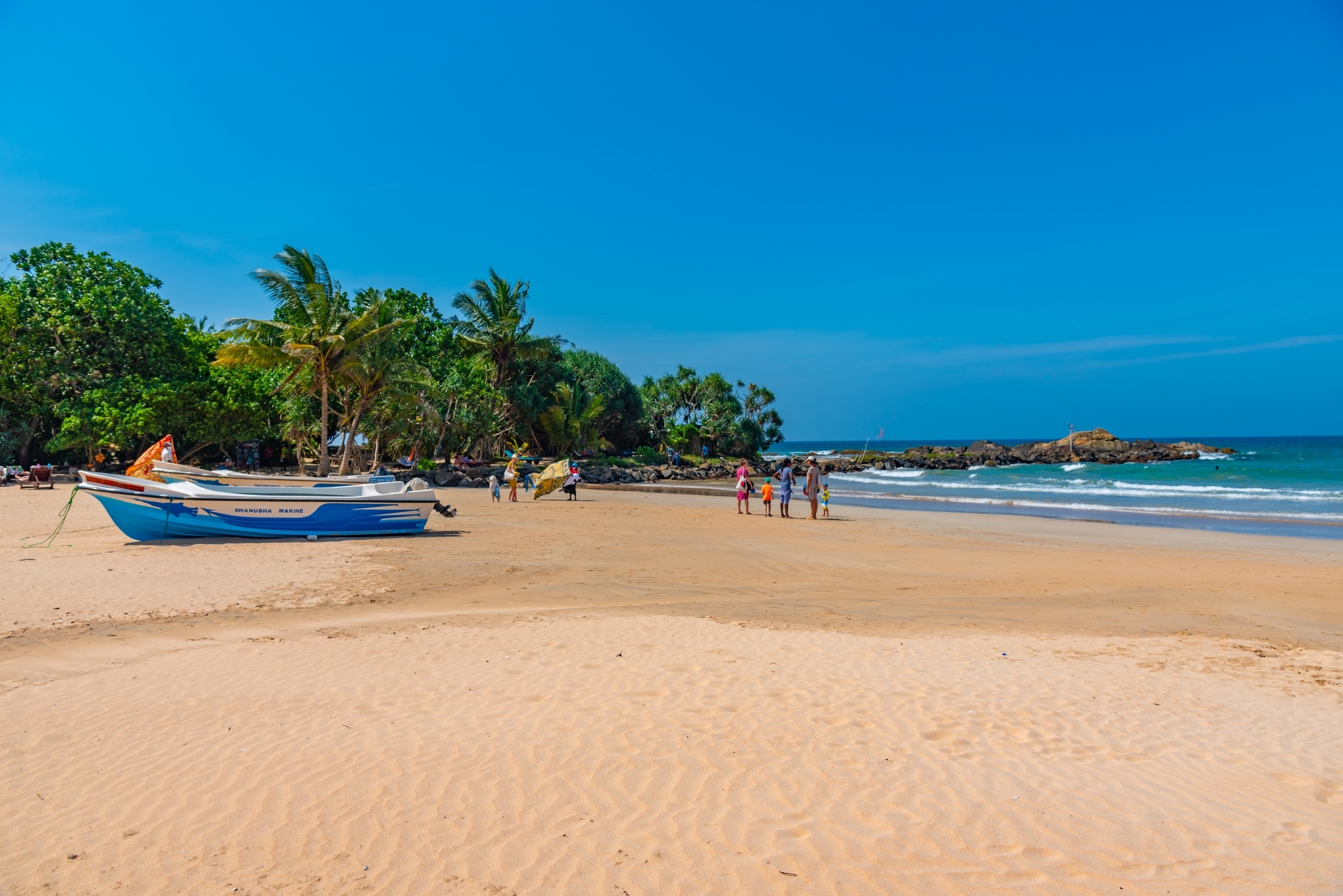 Shutterstock 2352600711