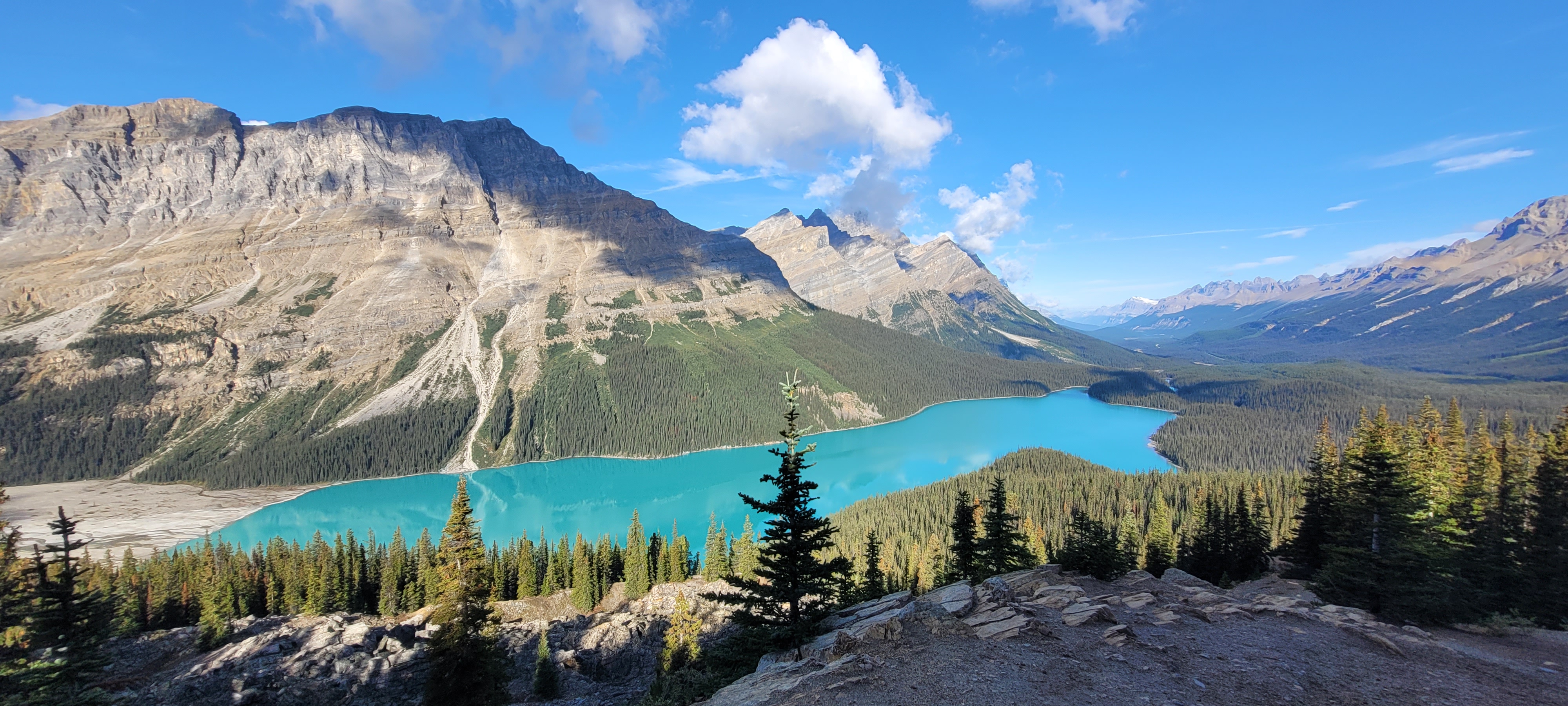 Peyto Lake HSTDOK Canada 2024 (4)