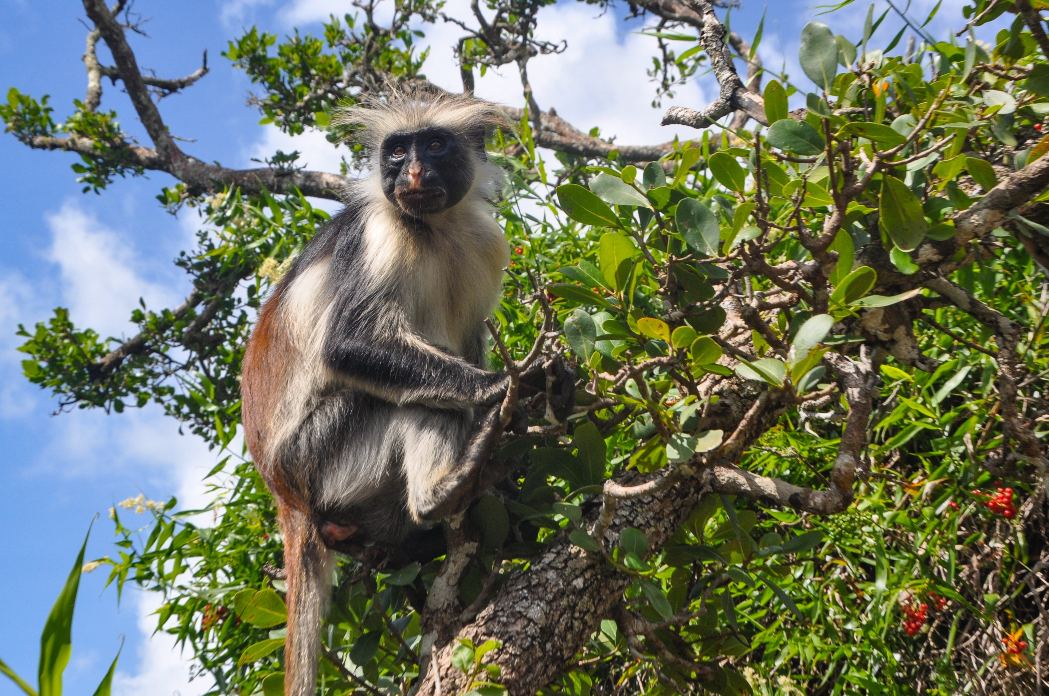 Shutterstock 2342094185