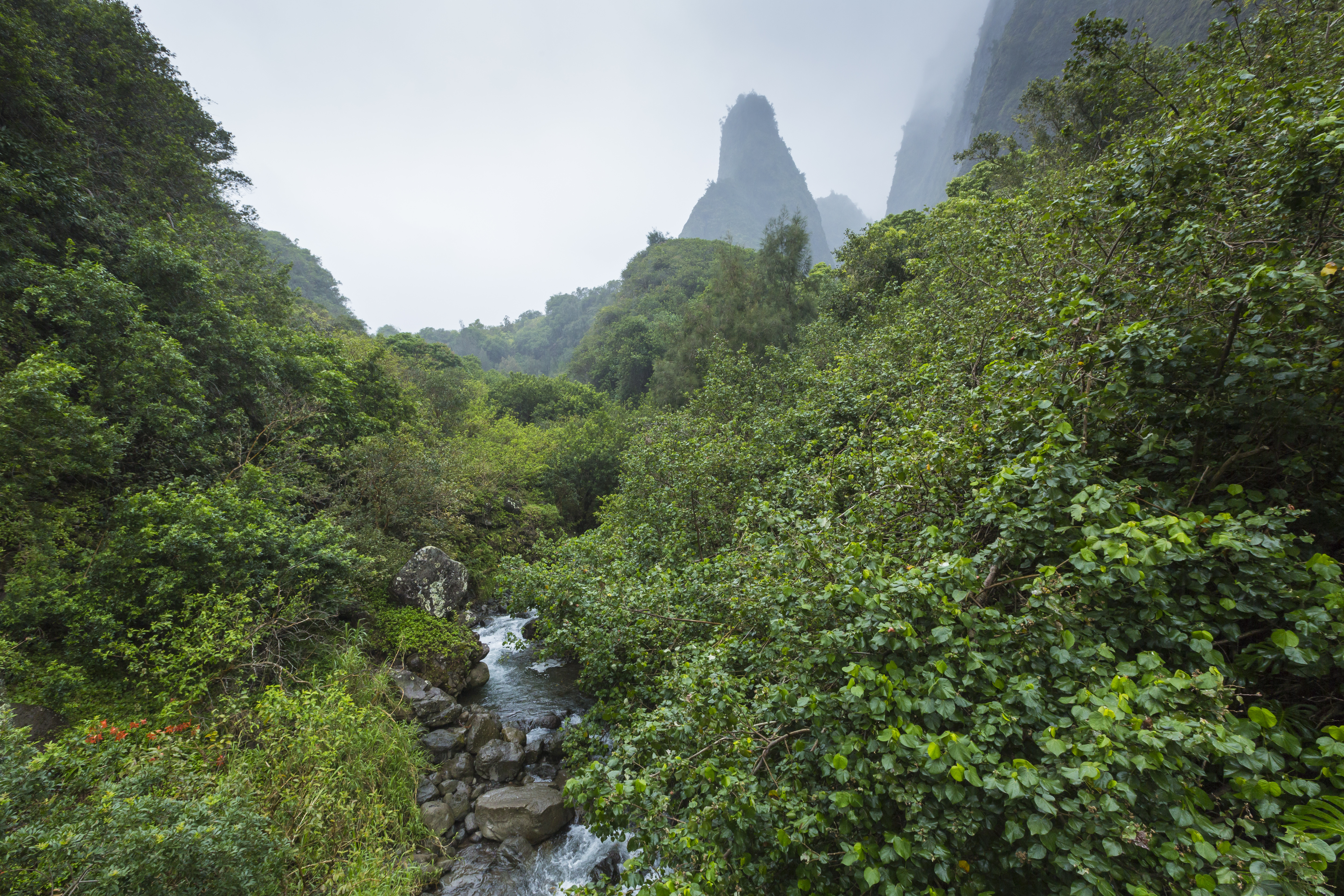 Iao Valley State Monument Maui Hawaii Shutterstock 410786536