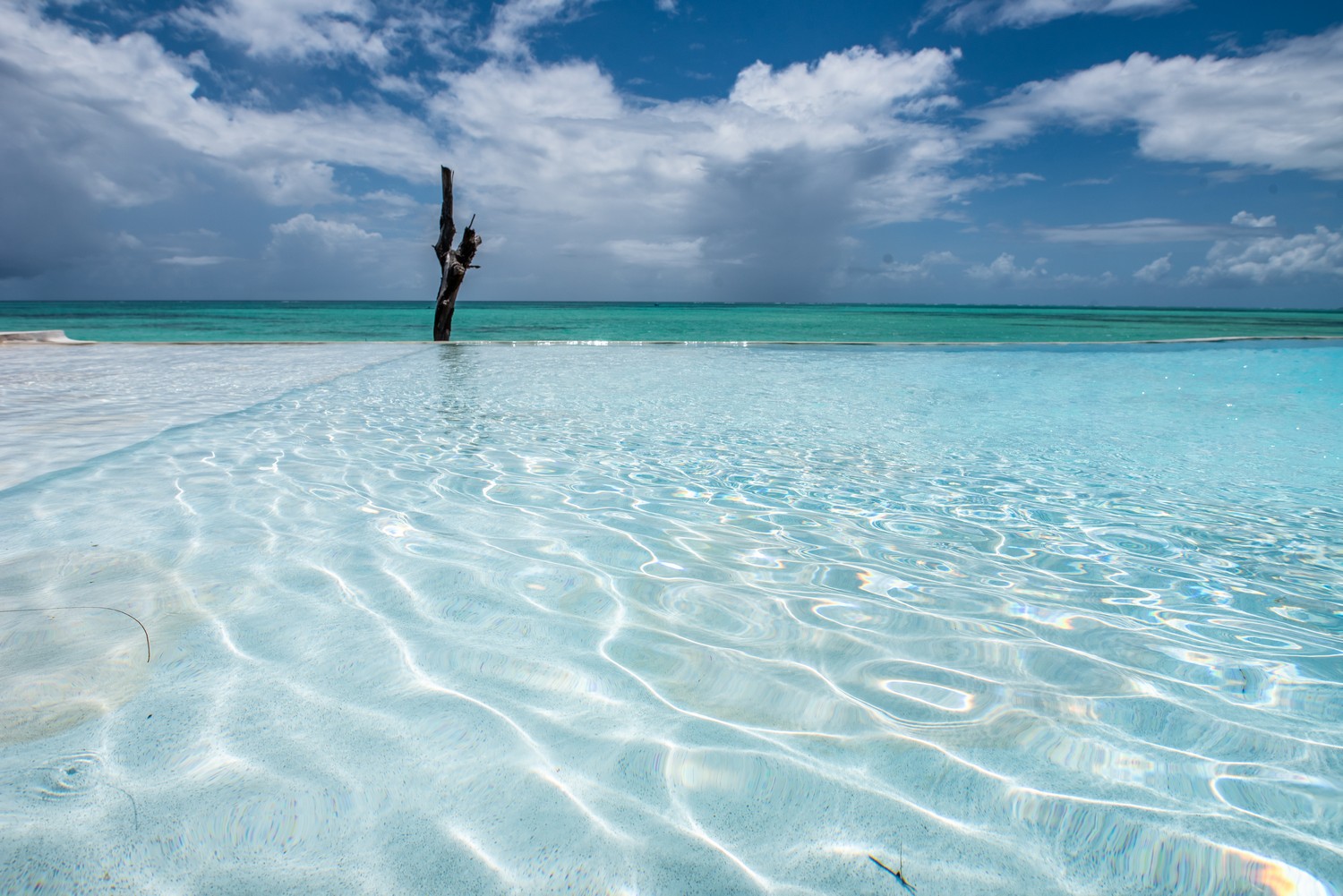 Pongwe Beach Hotel Zanzibar Hotel 75