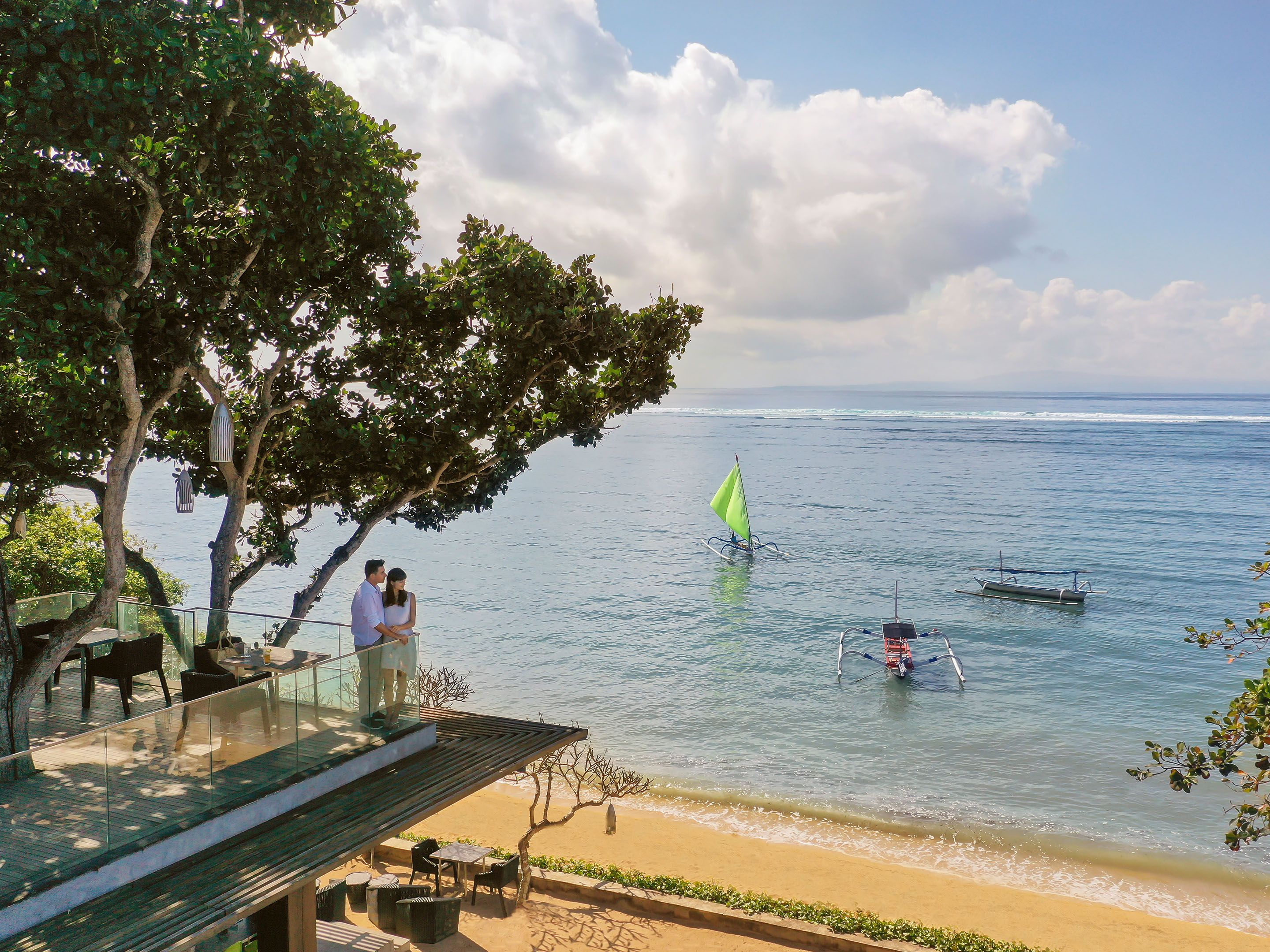 MSR 8.9. Tree Bar View