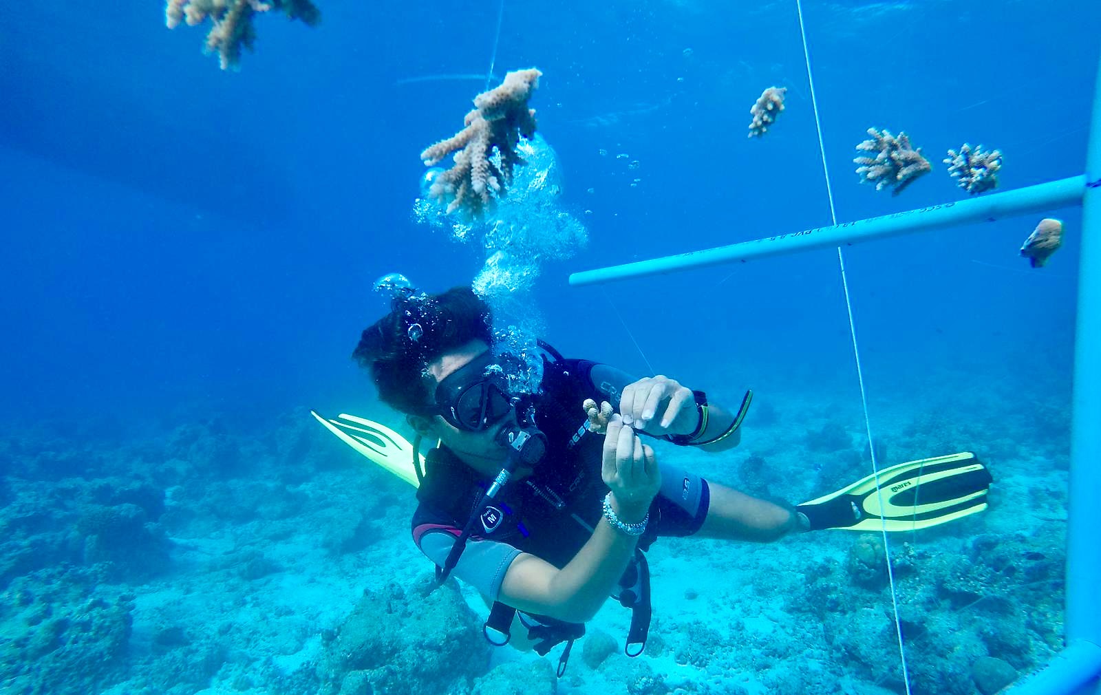 5681De34 81A1 4F2f 9B2f Fe353788dc58 1