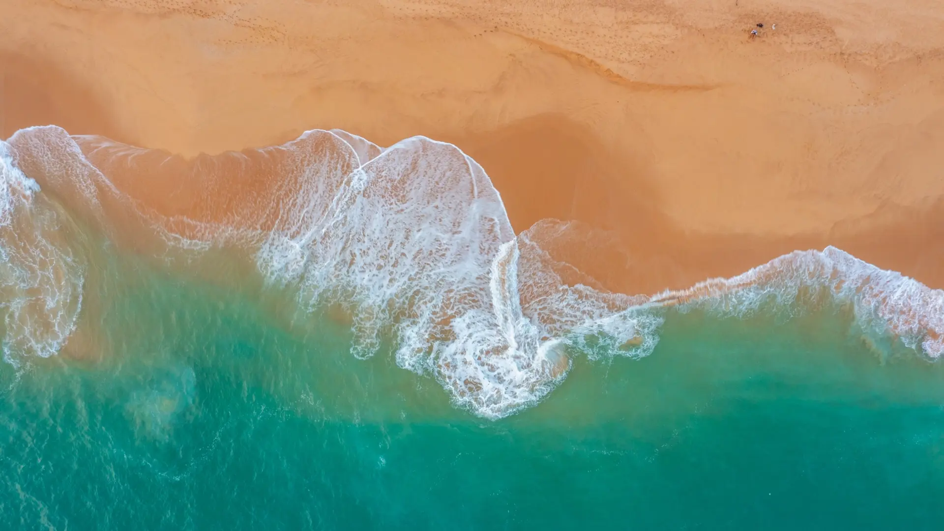Shutterstock 2357524687 (Mangrove Beach Tangalle)