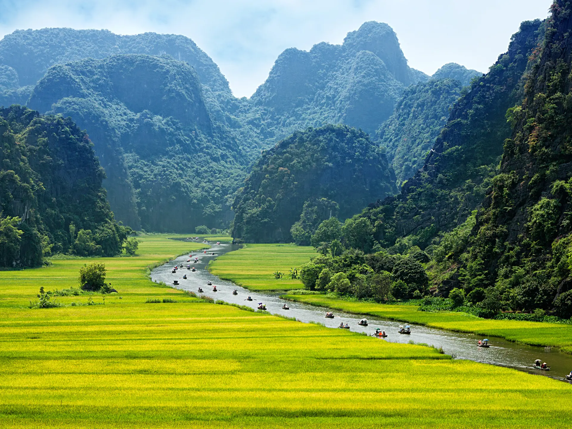 Adobestock 93548974