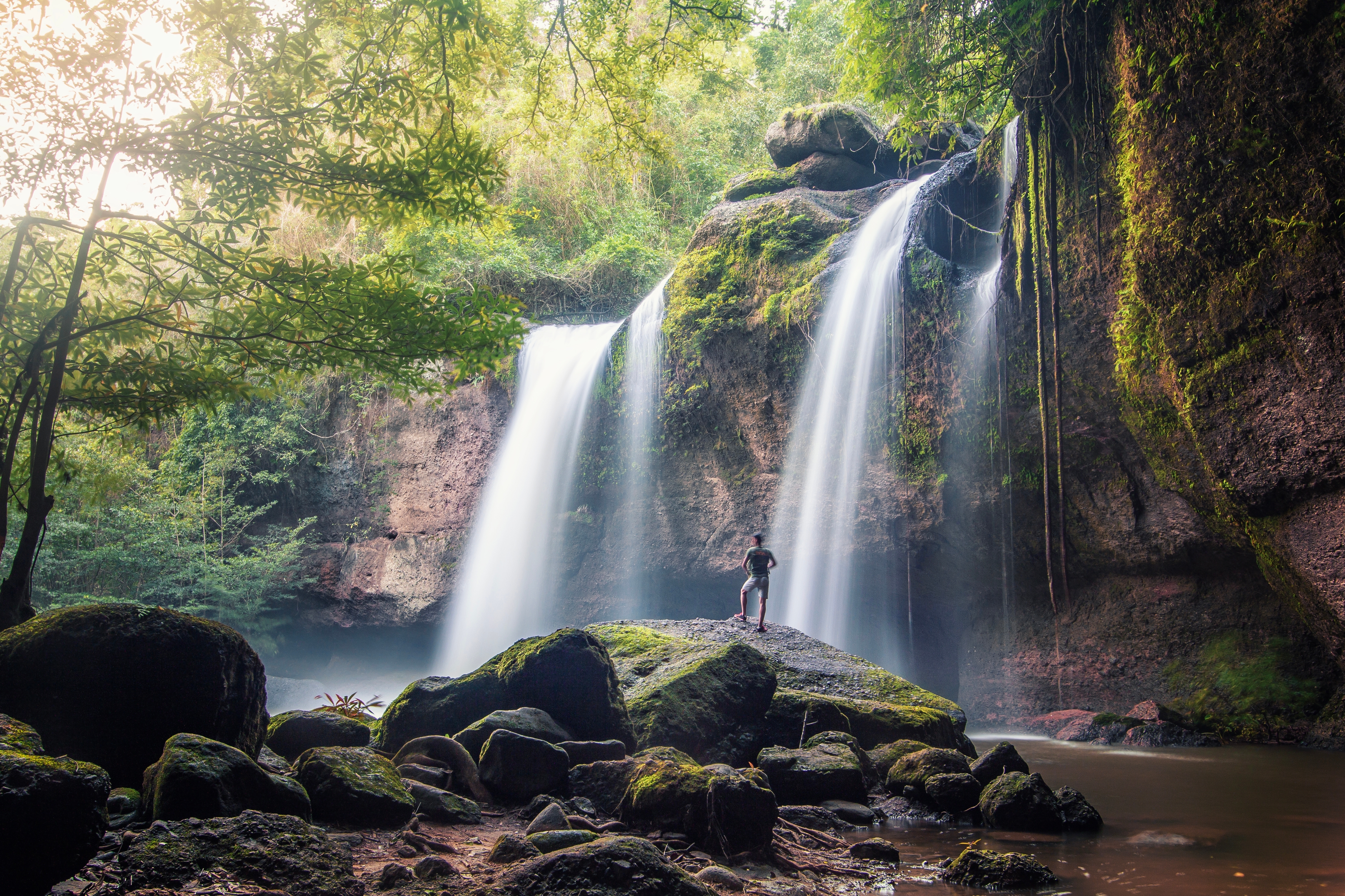 Khao Yai National Park Shutterstock 2318081461