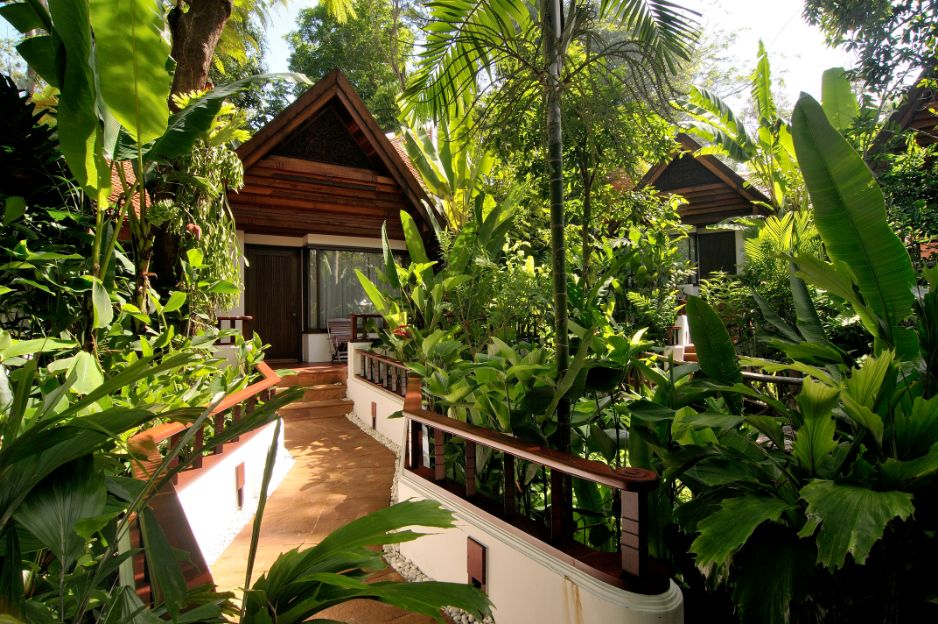 Jungle View 01