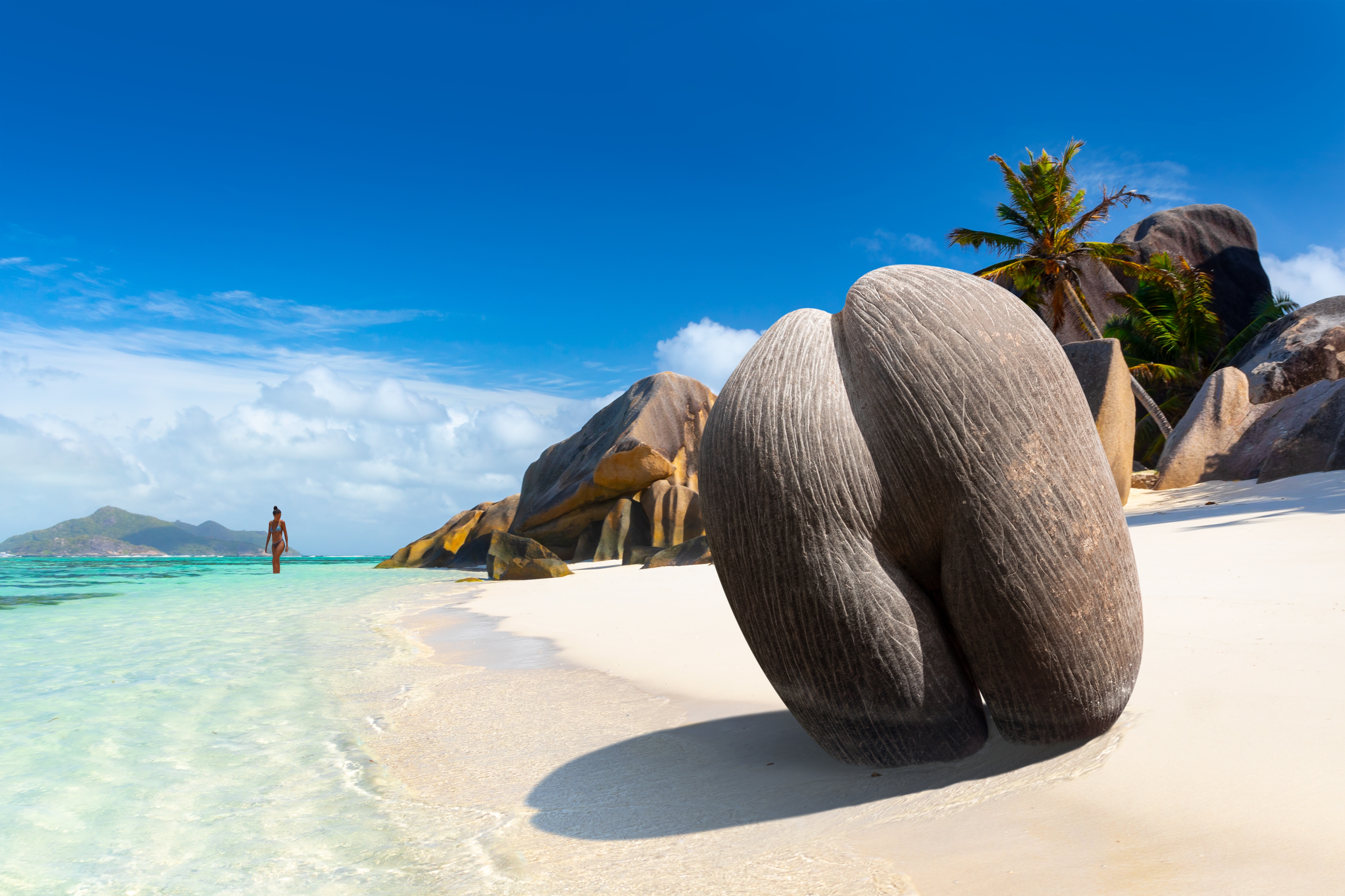 Shutterstock 2077943485 Coco De Mer Or Sea Coconut, Or Double Coconut Is The Largest And Sexiest Nut In The World. Сoco De Mer On The Beach, Seychelles