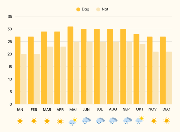 Temperaturer året rundt på Isla Holbox