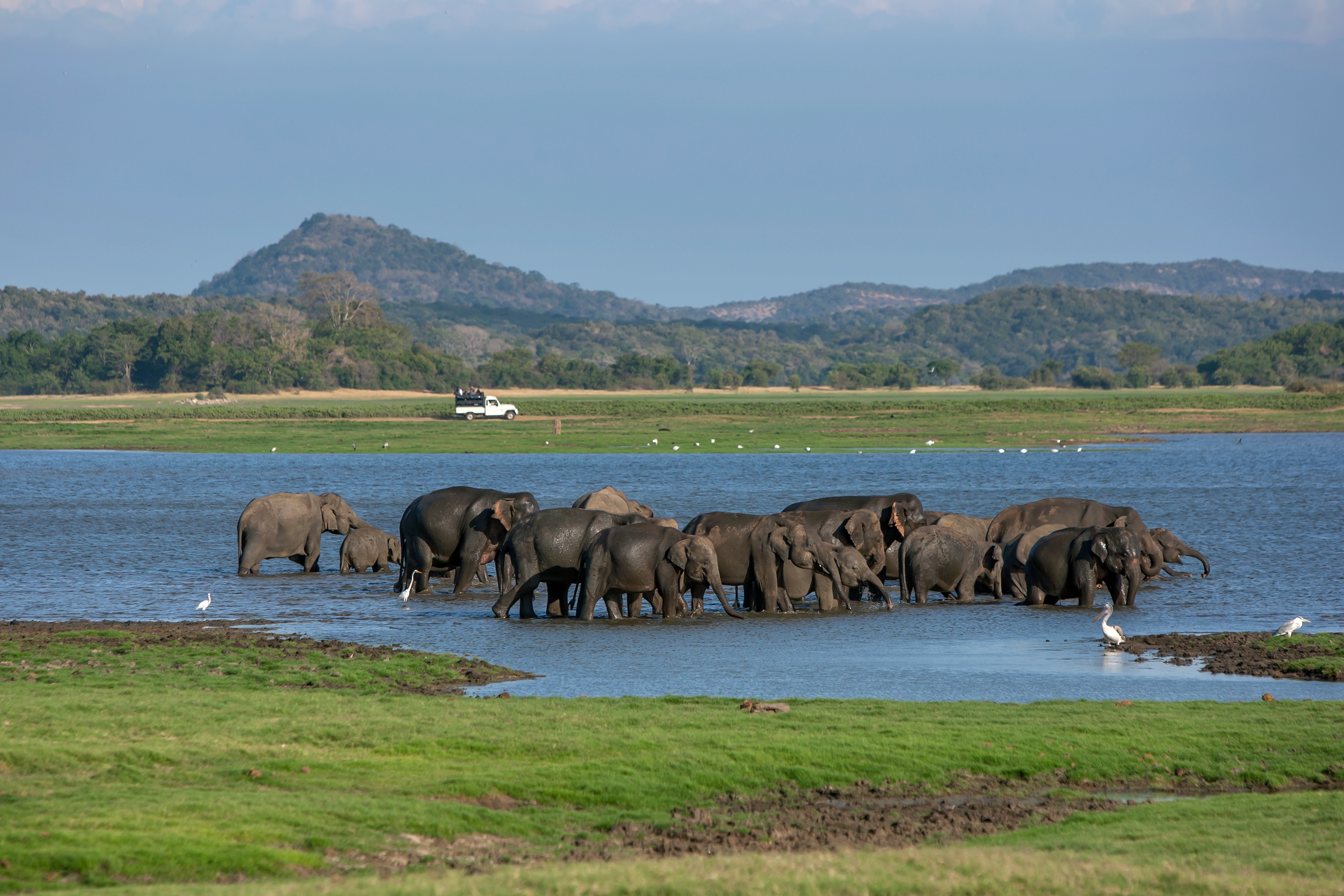 Shutterstock 2328980337