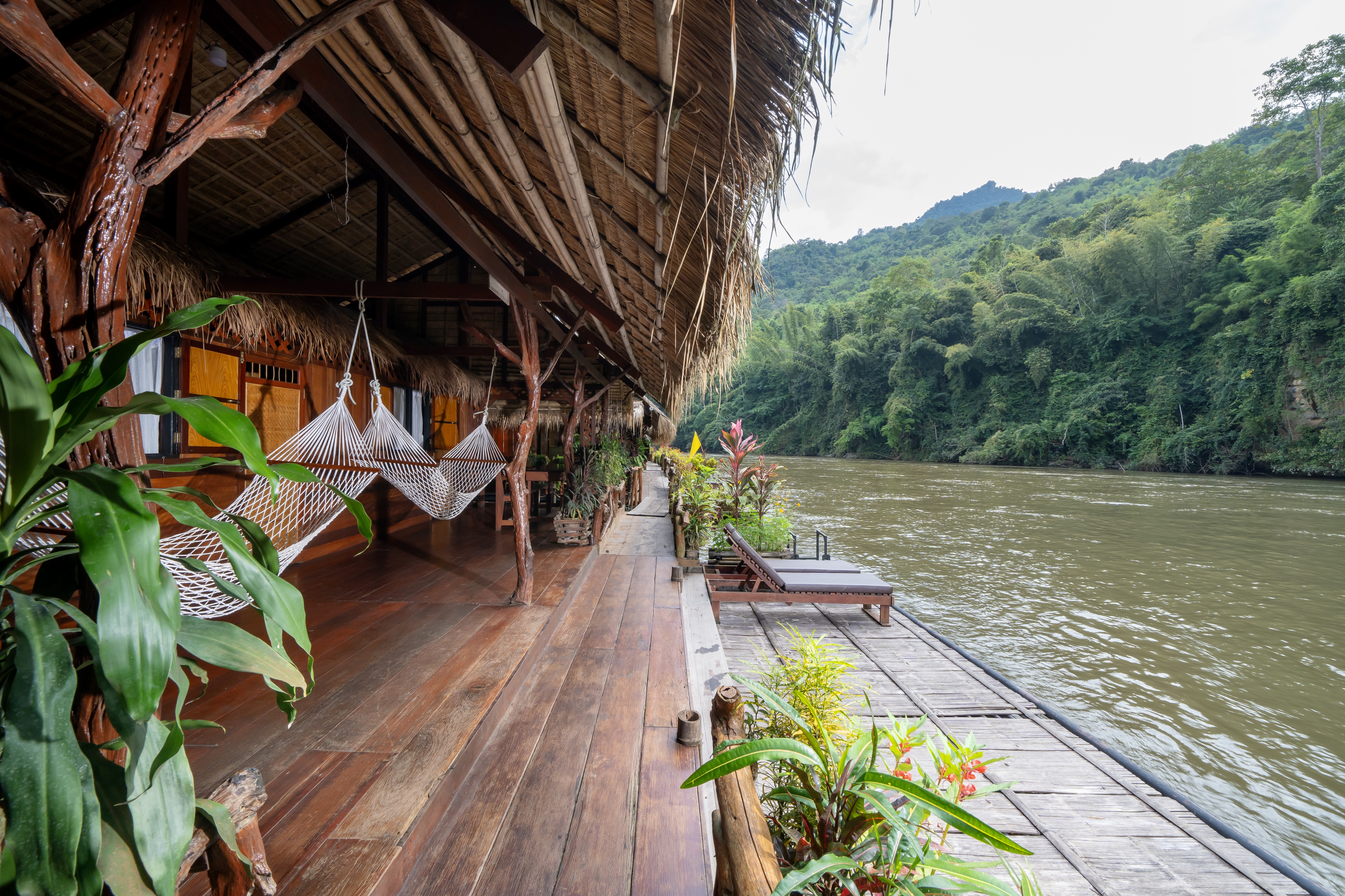 Jungle Vibe12 (1)