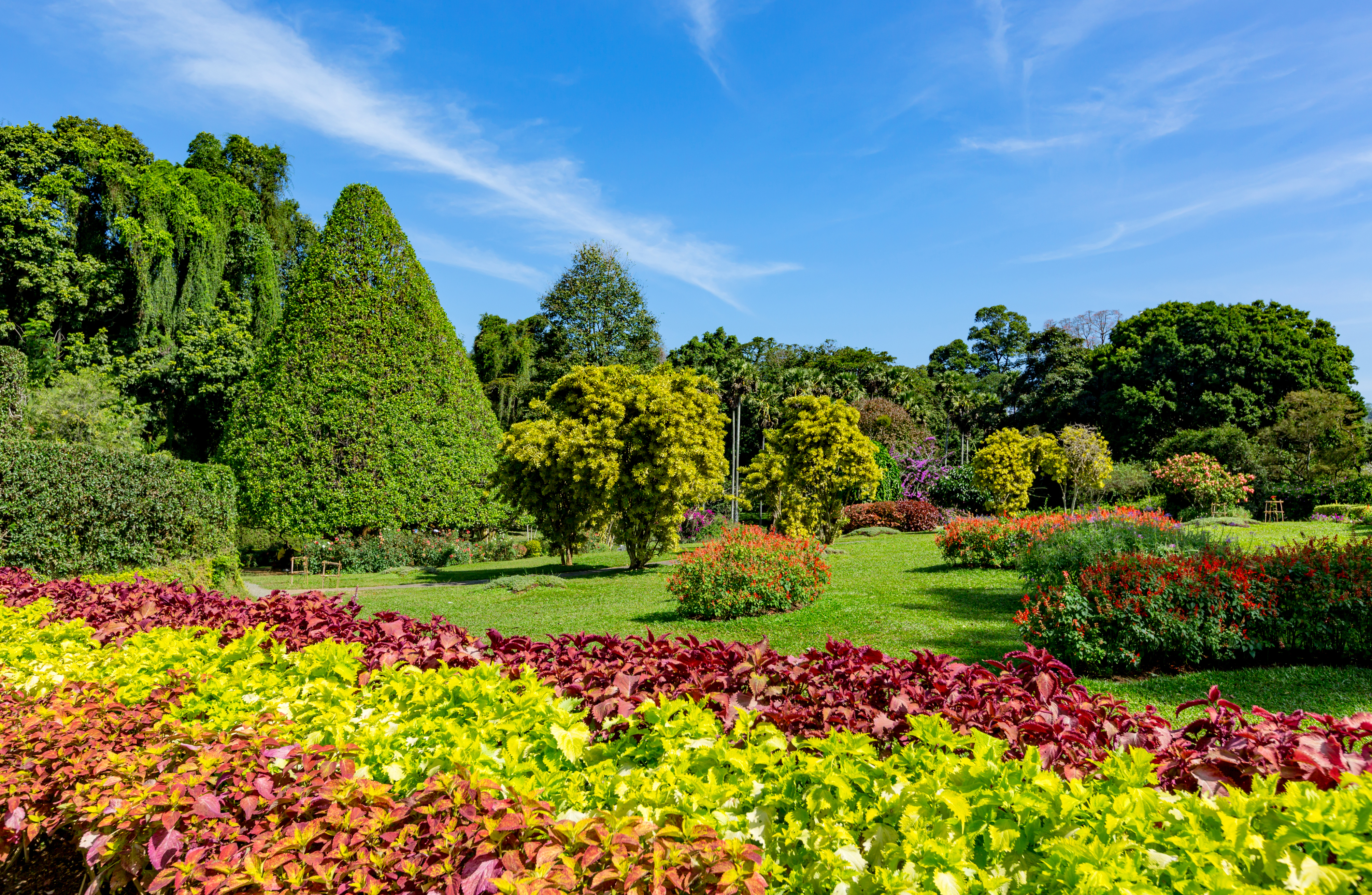 Shutterstock 508065223