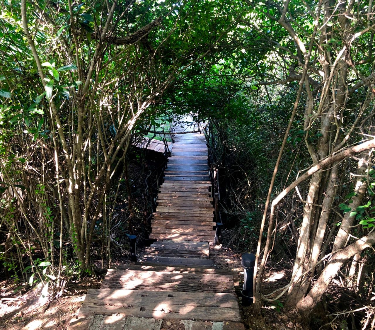 Whatsapp Image 2024 11 05 At 9.27.40 AM (2)