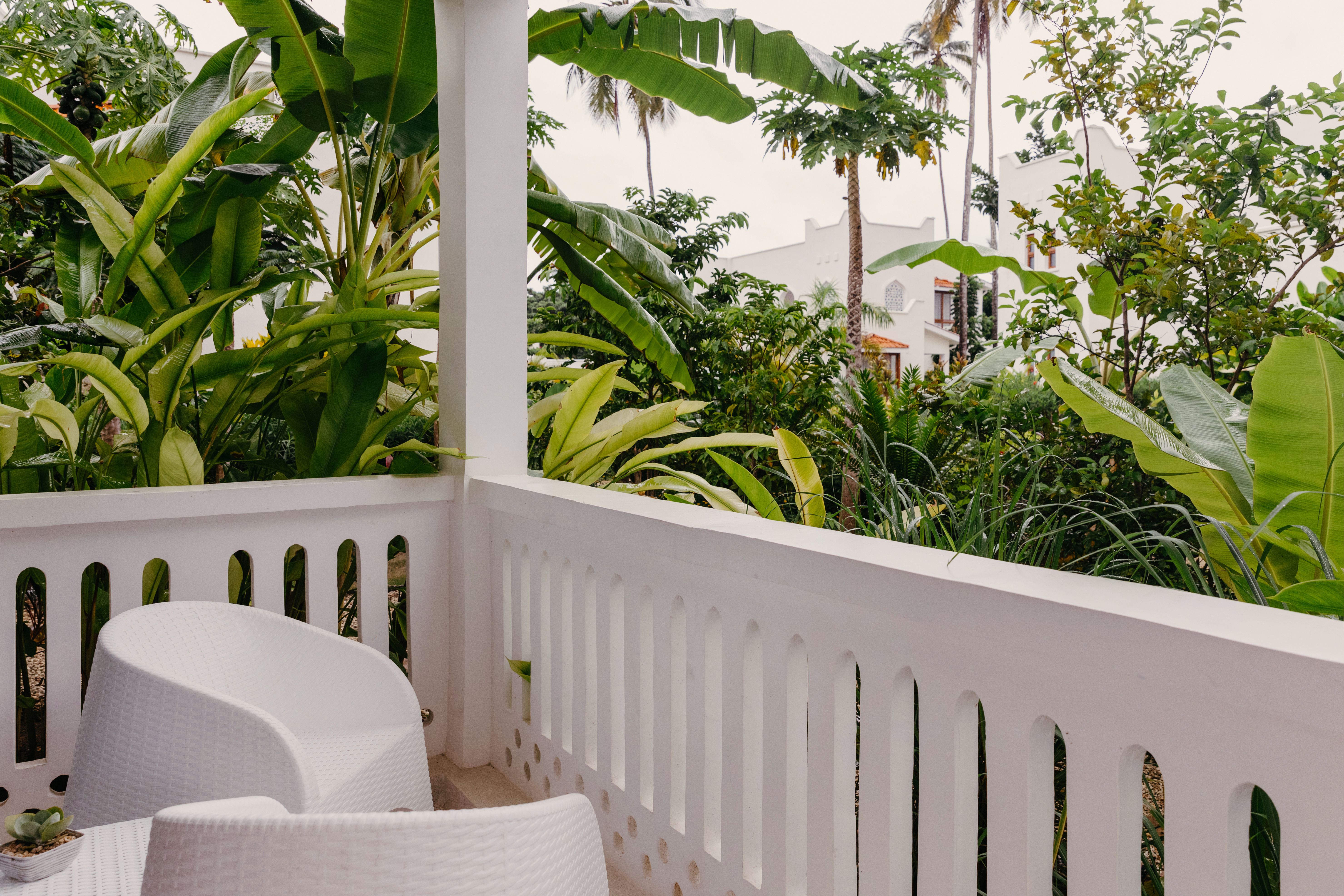 12868 4O8A1781 2 5916X3944