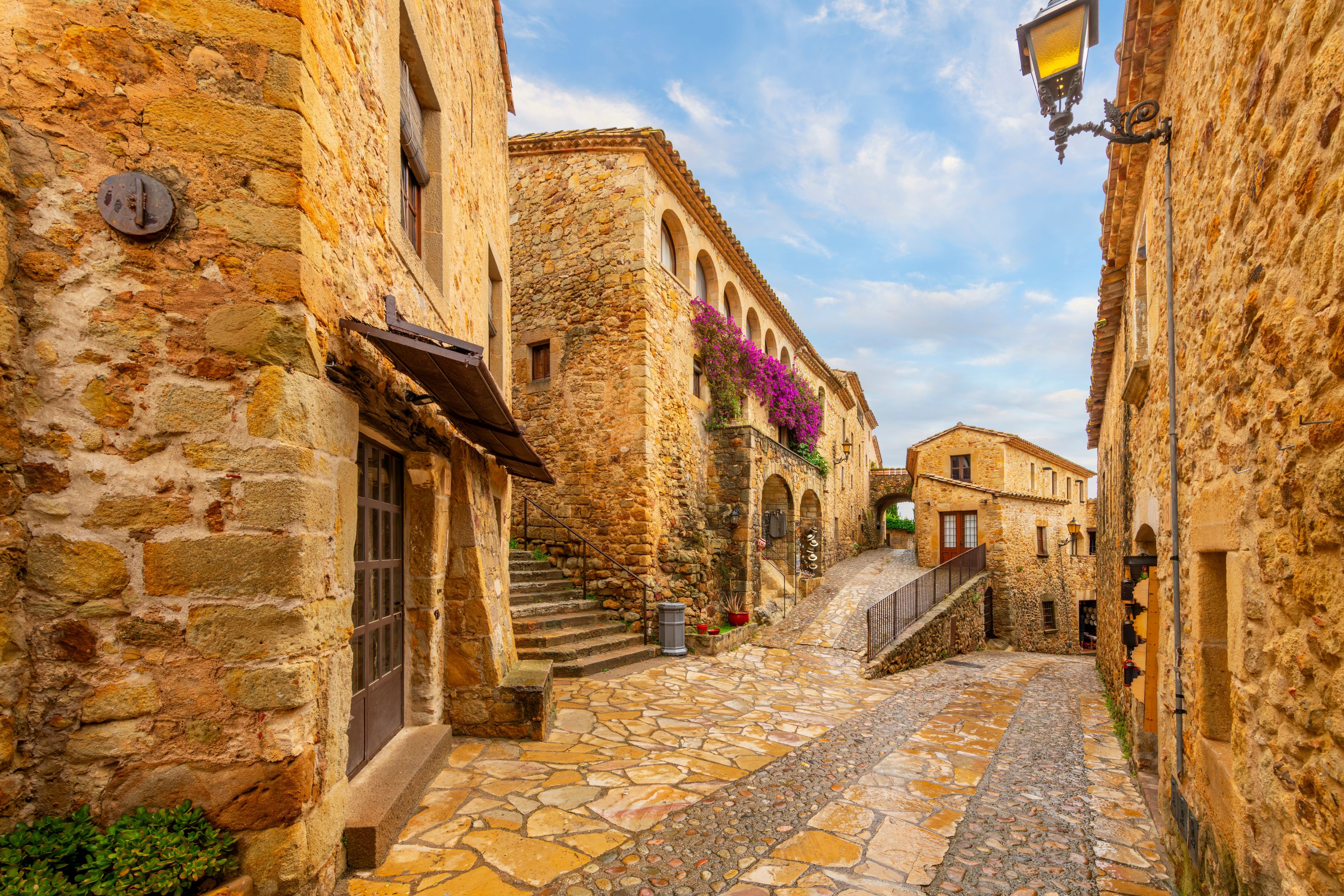 Pals Shutterstock 2562755803