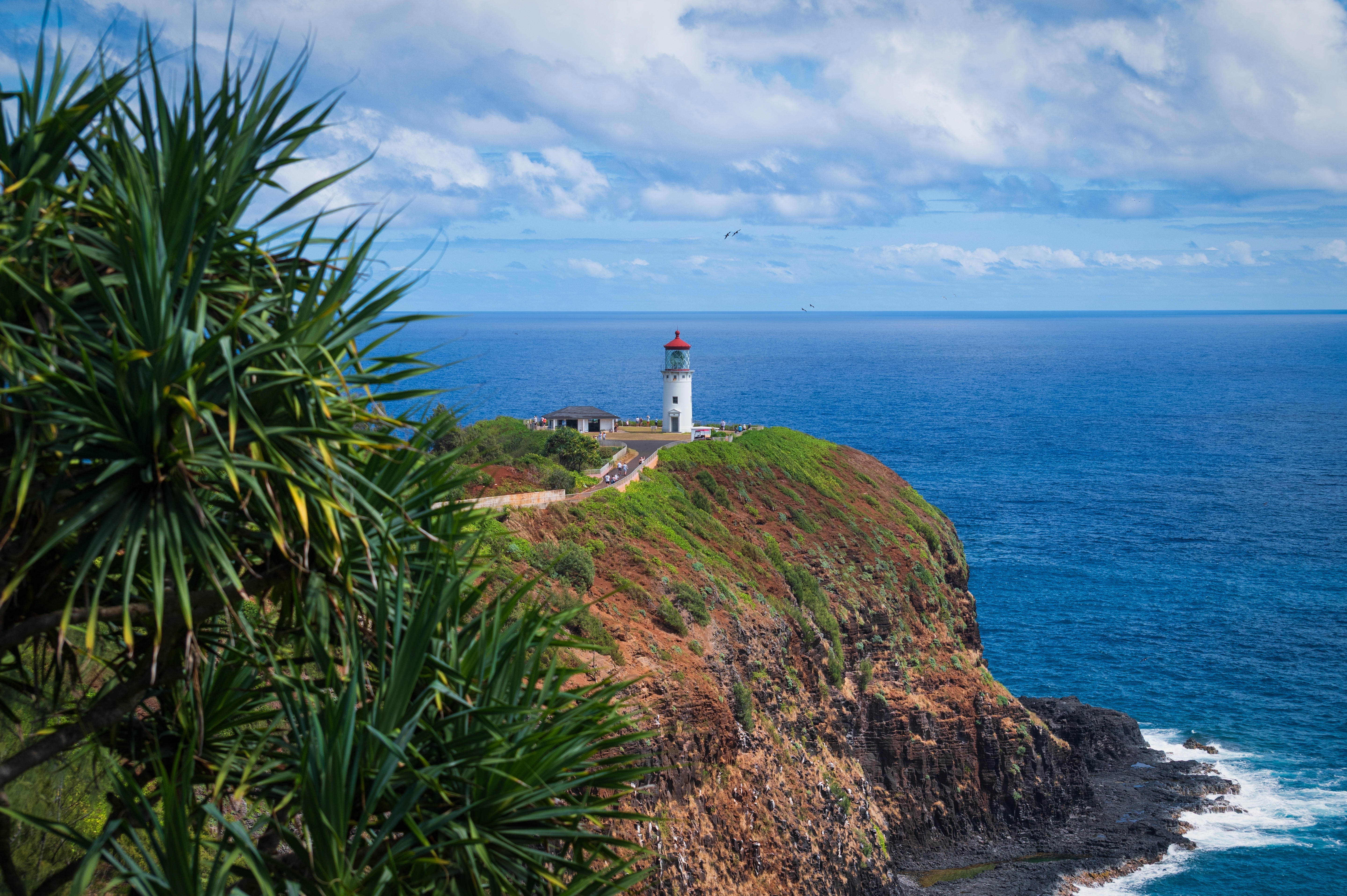 Kilauea Point Kauai Hawaii