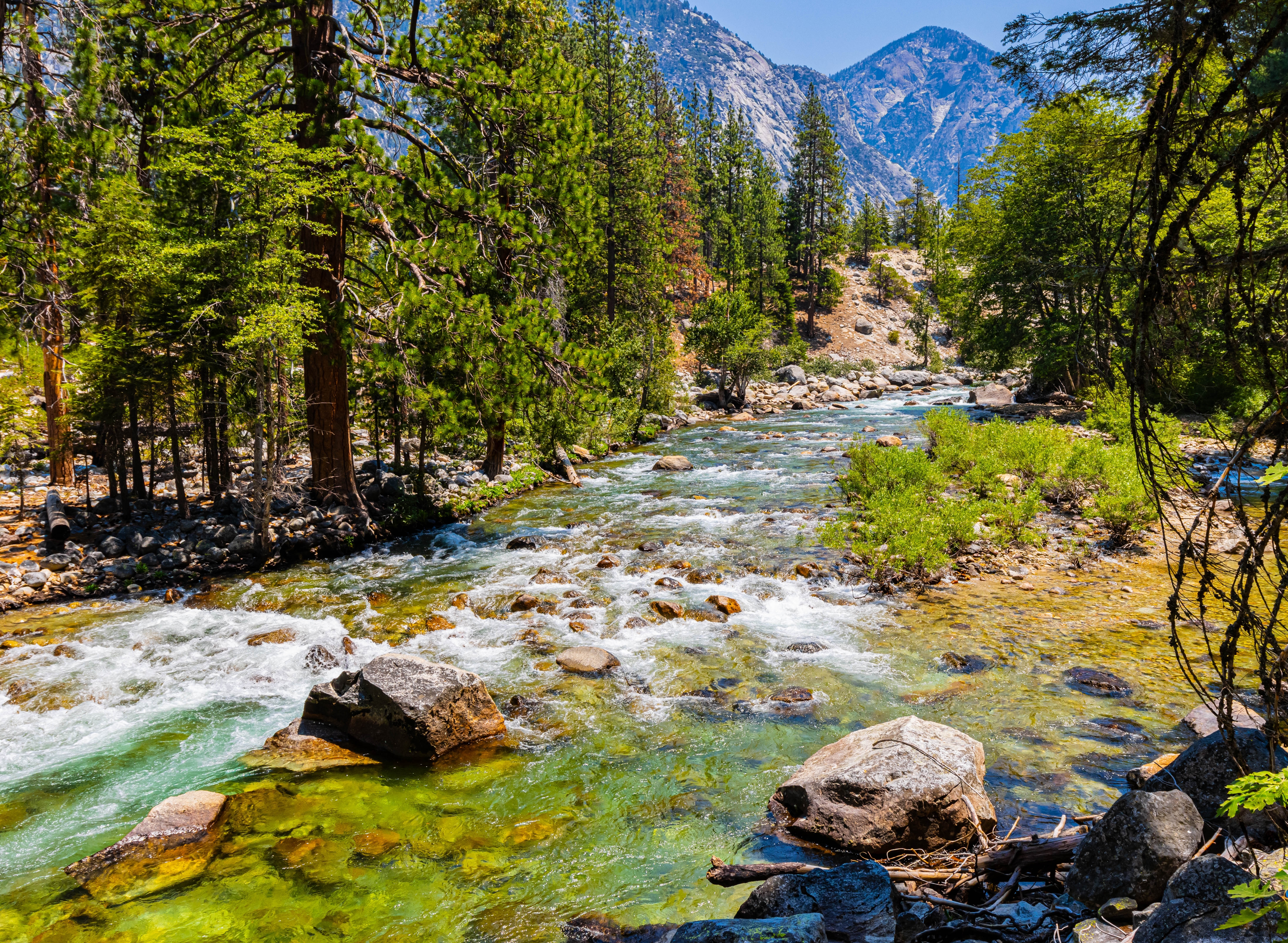 Kings Canyon Cedar Grove Shutterstock 2669650177
