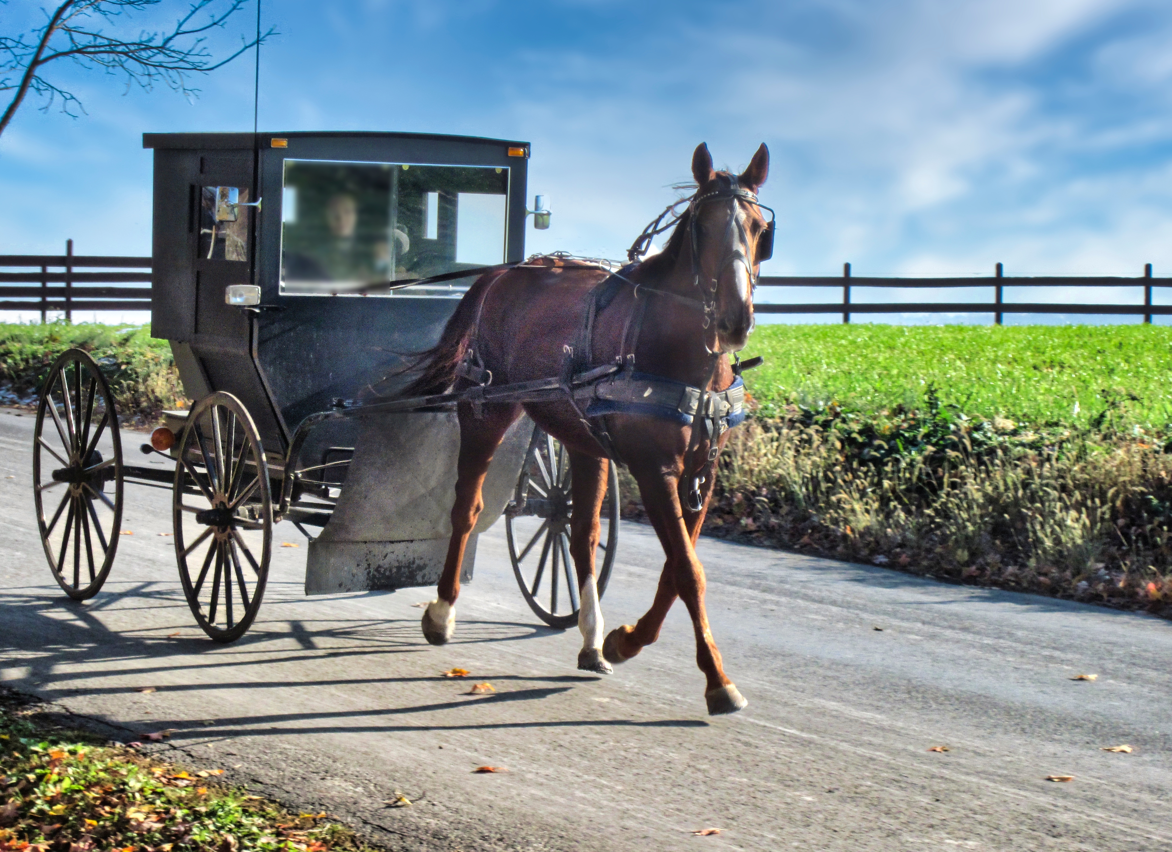 Shutterstock 2409622151 Amish Horse And Buggy In Lancaster, Pennsylvania.