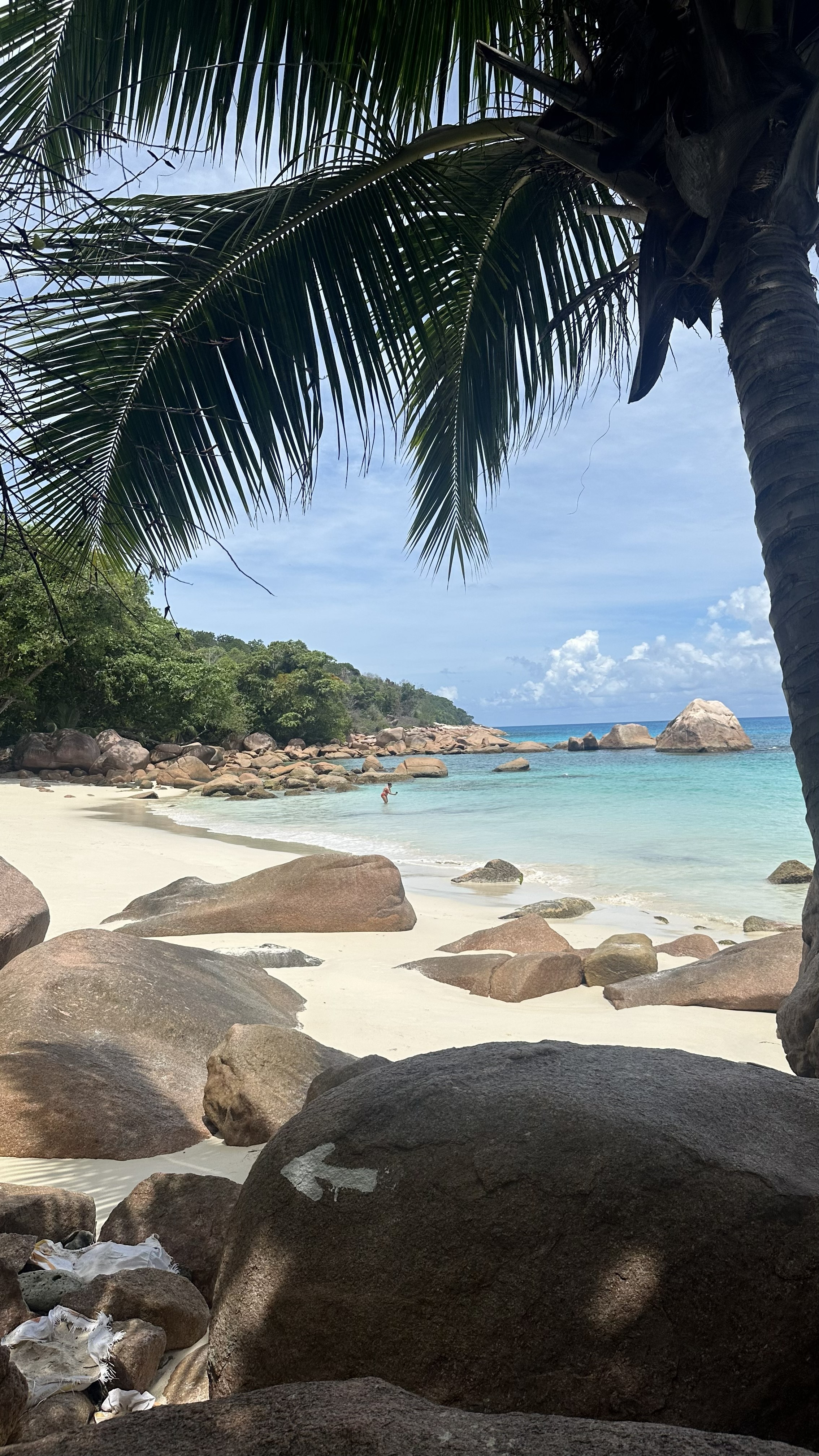 Seychellerne Praslin Anse Lazio Med Børn