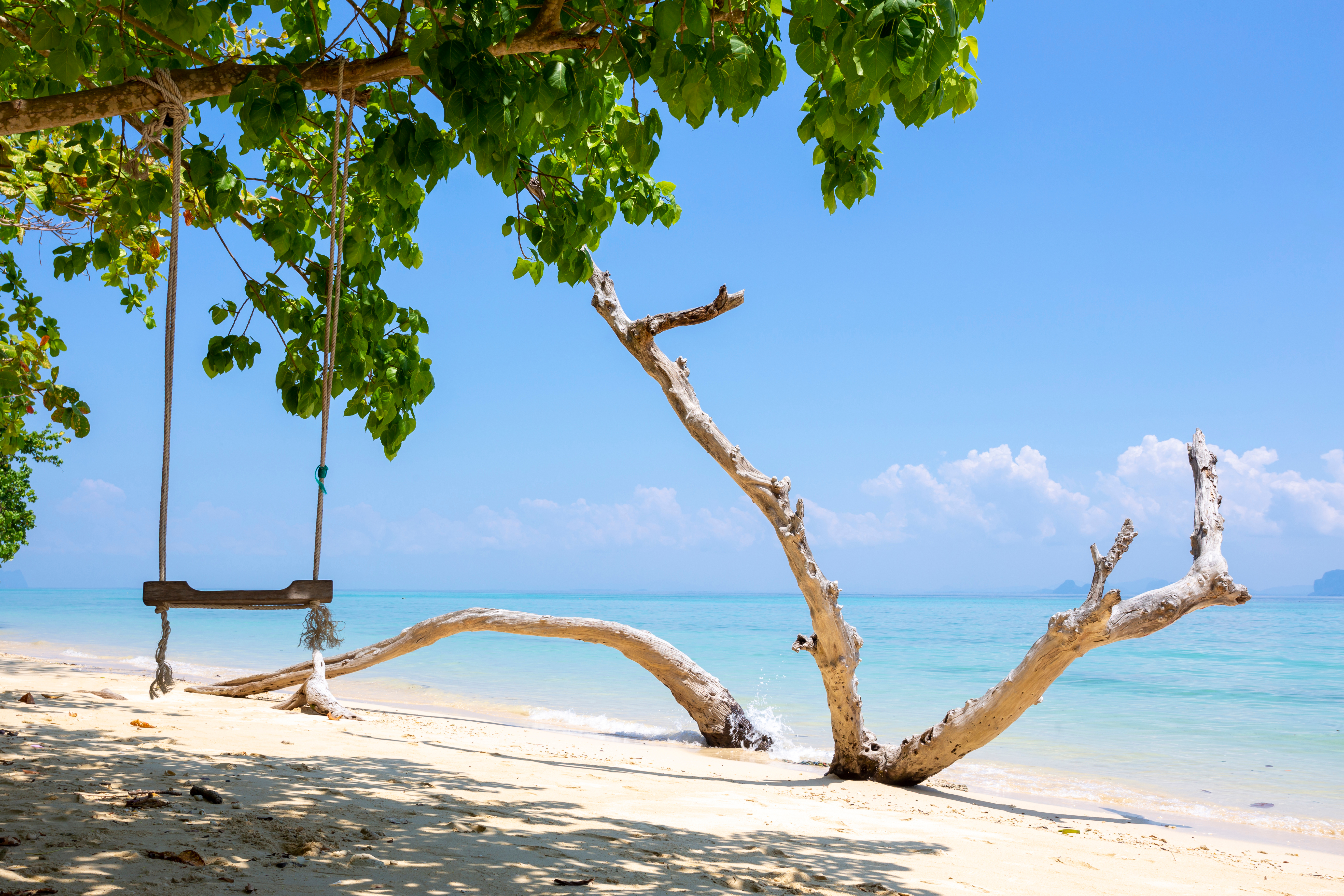 Shutterstock 1954831231