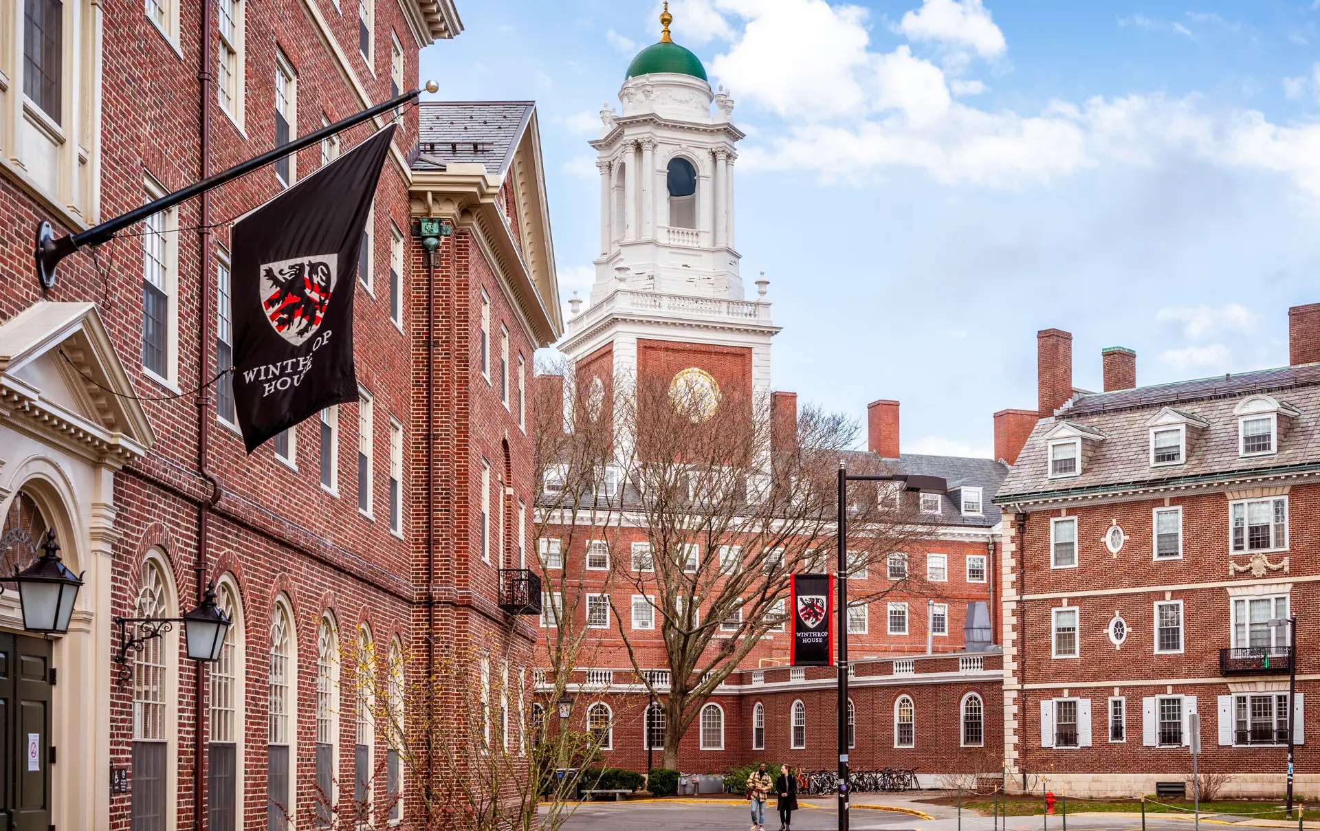 Shutterstock 2440907939