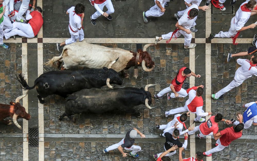 Plaza De Toros De Pamplona
