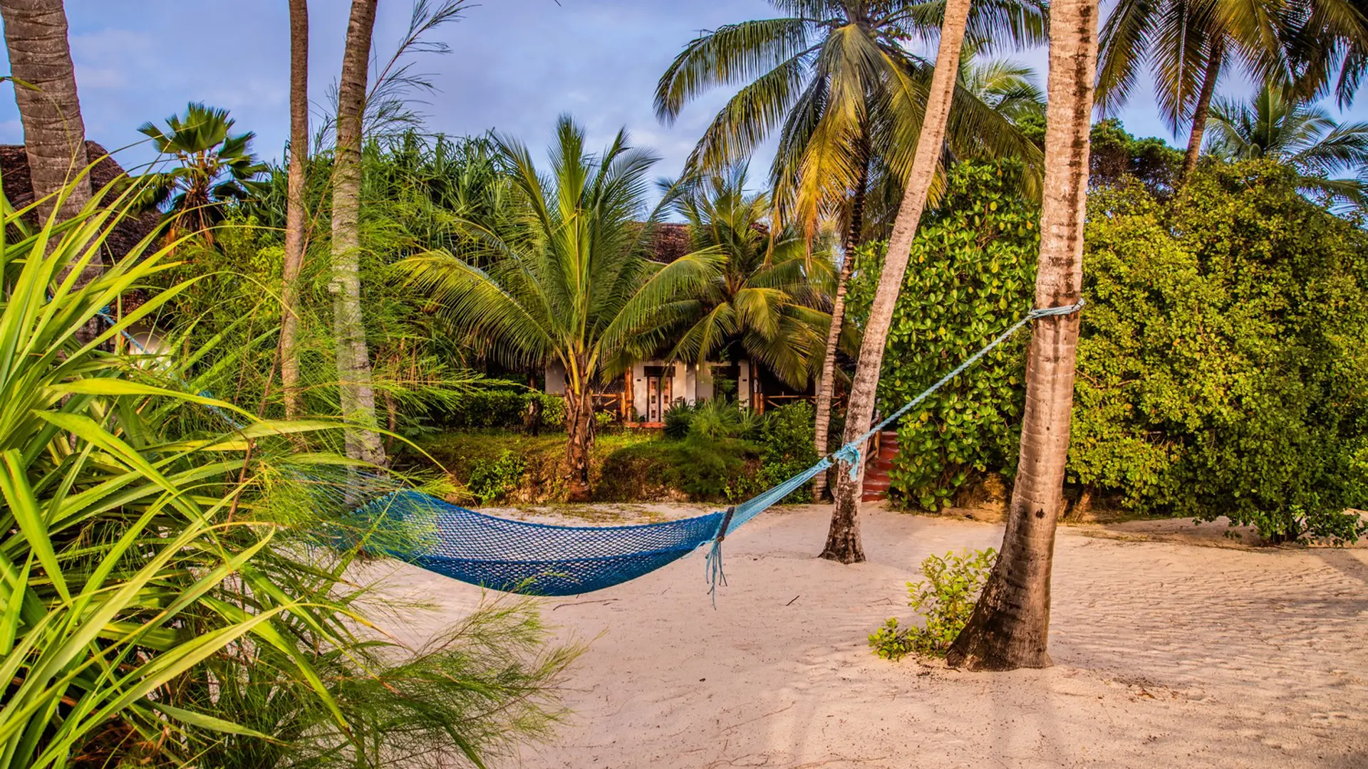 Pongwe Beach Hotel Zanzibar Hotel 2