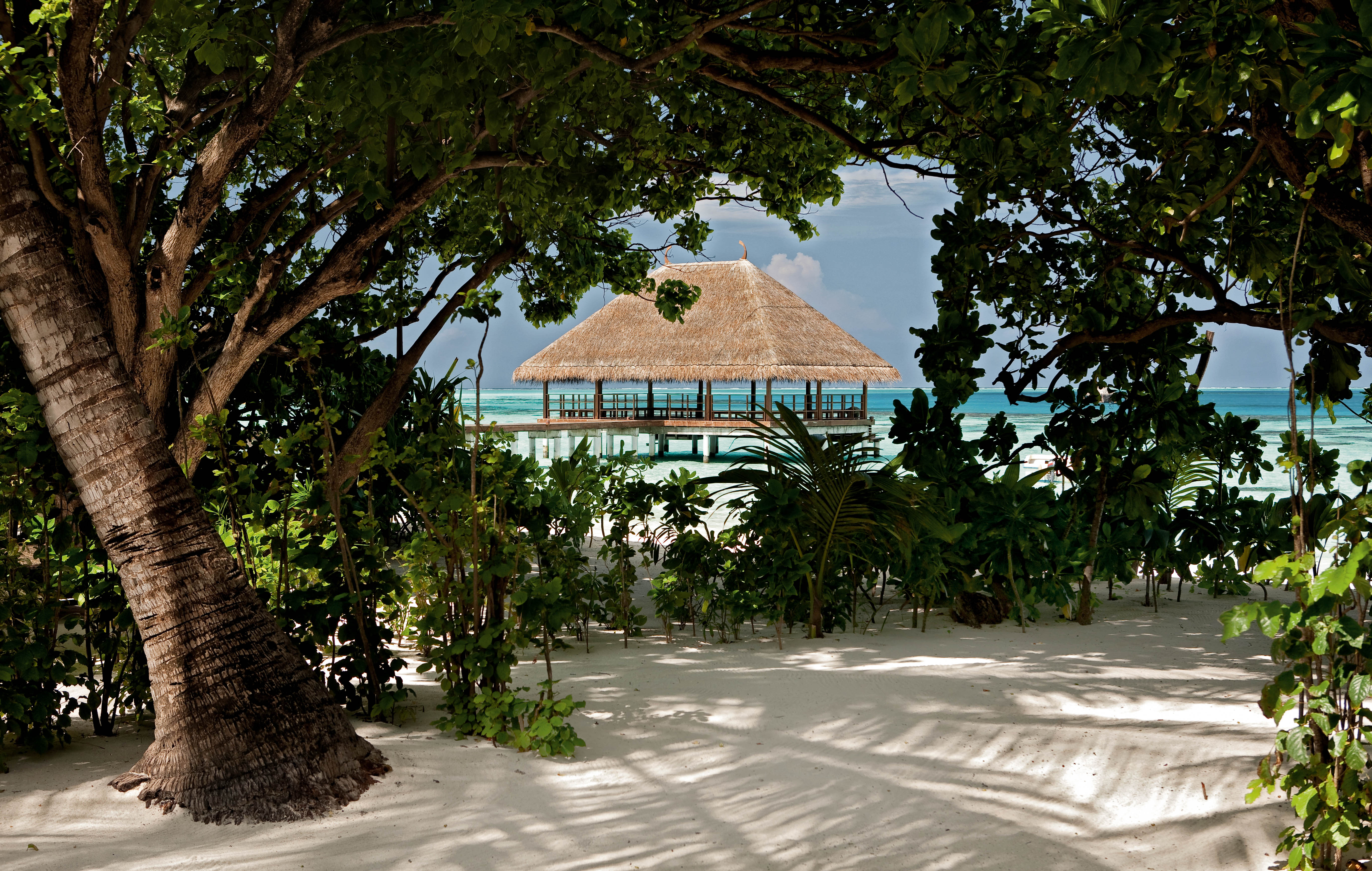 Constance Moofushi Weddings 10 (1)