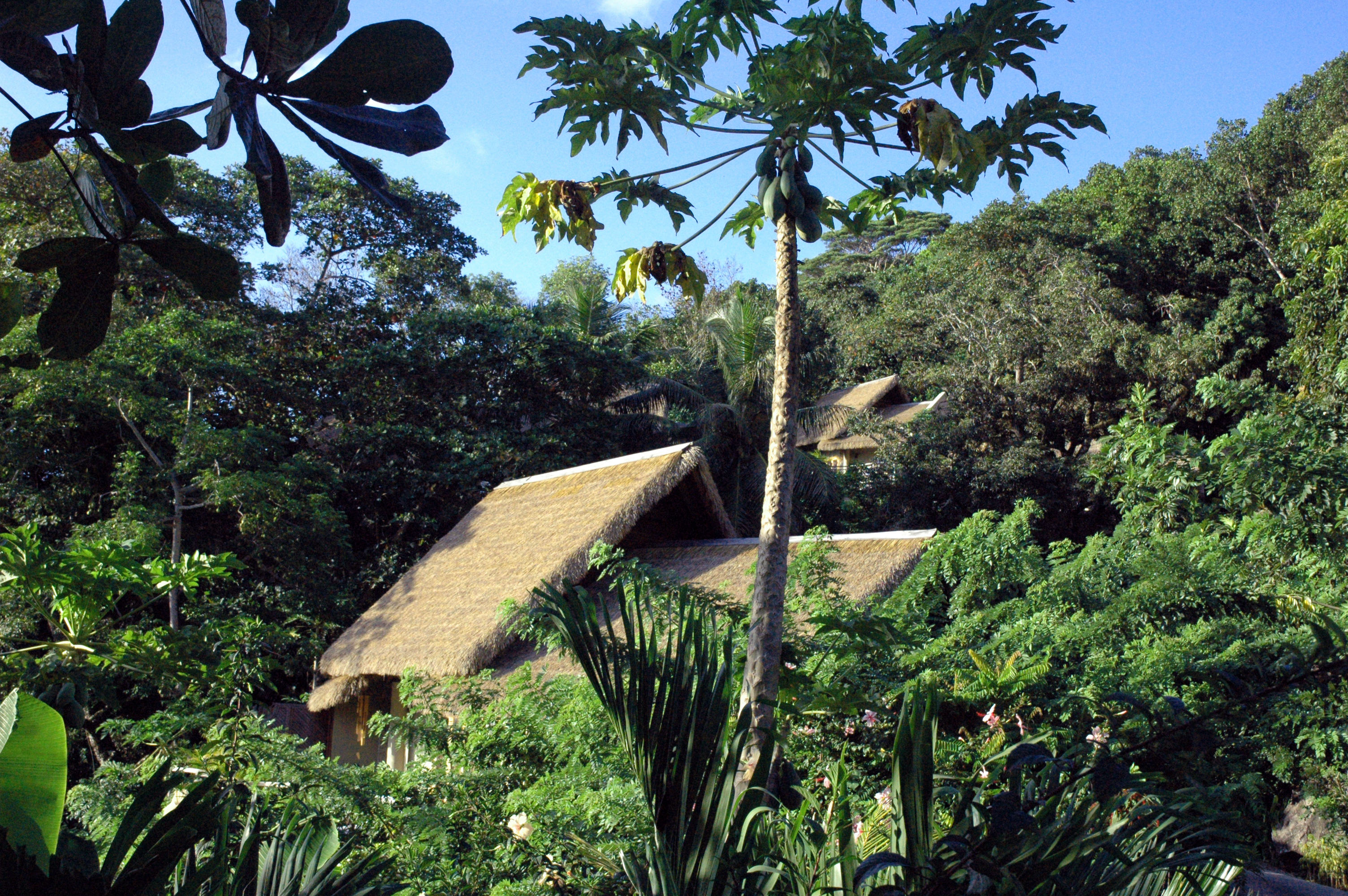 Orangeraie Villa De Charme 9