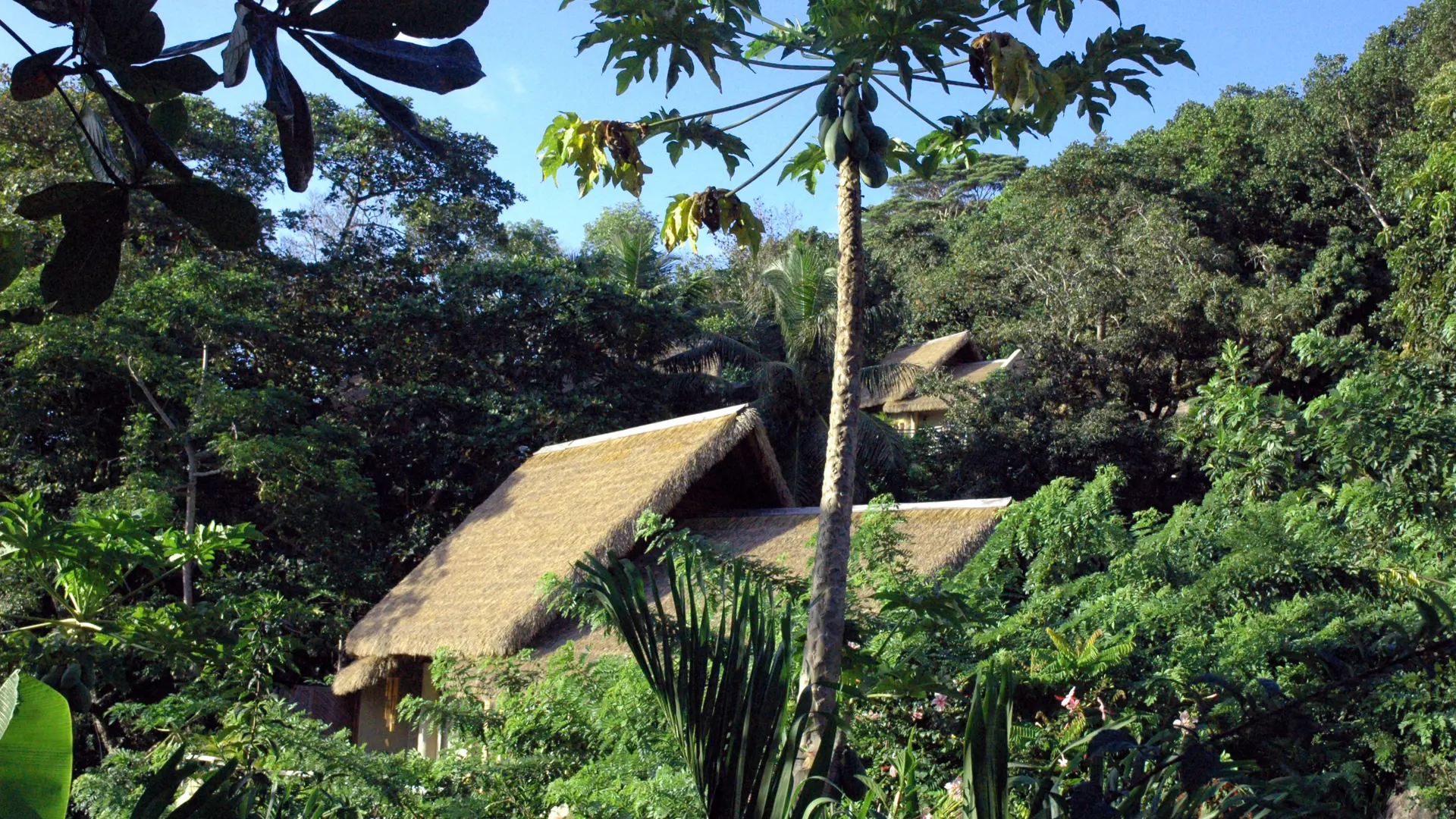 Orangeraie Villa De Charme 9