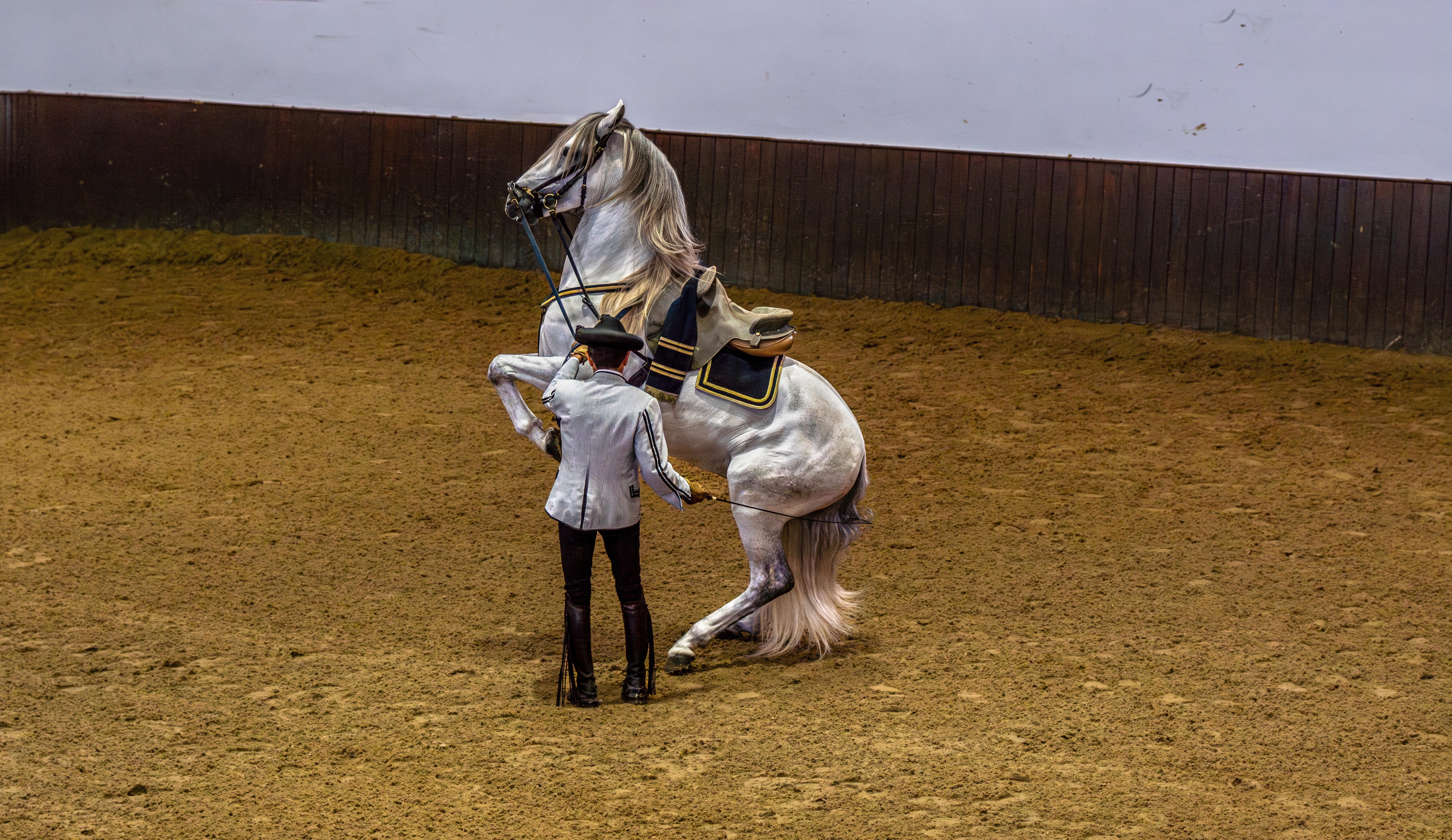 Jerez De La Frontera Shutterstock 2521715277