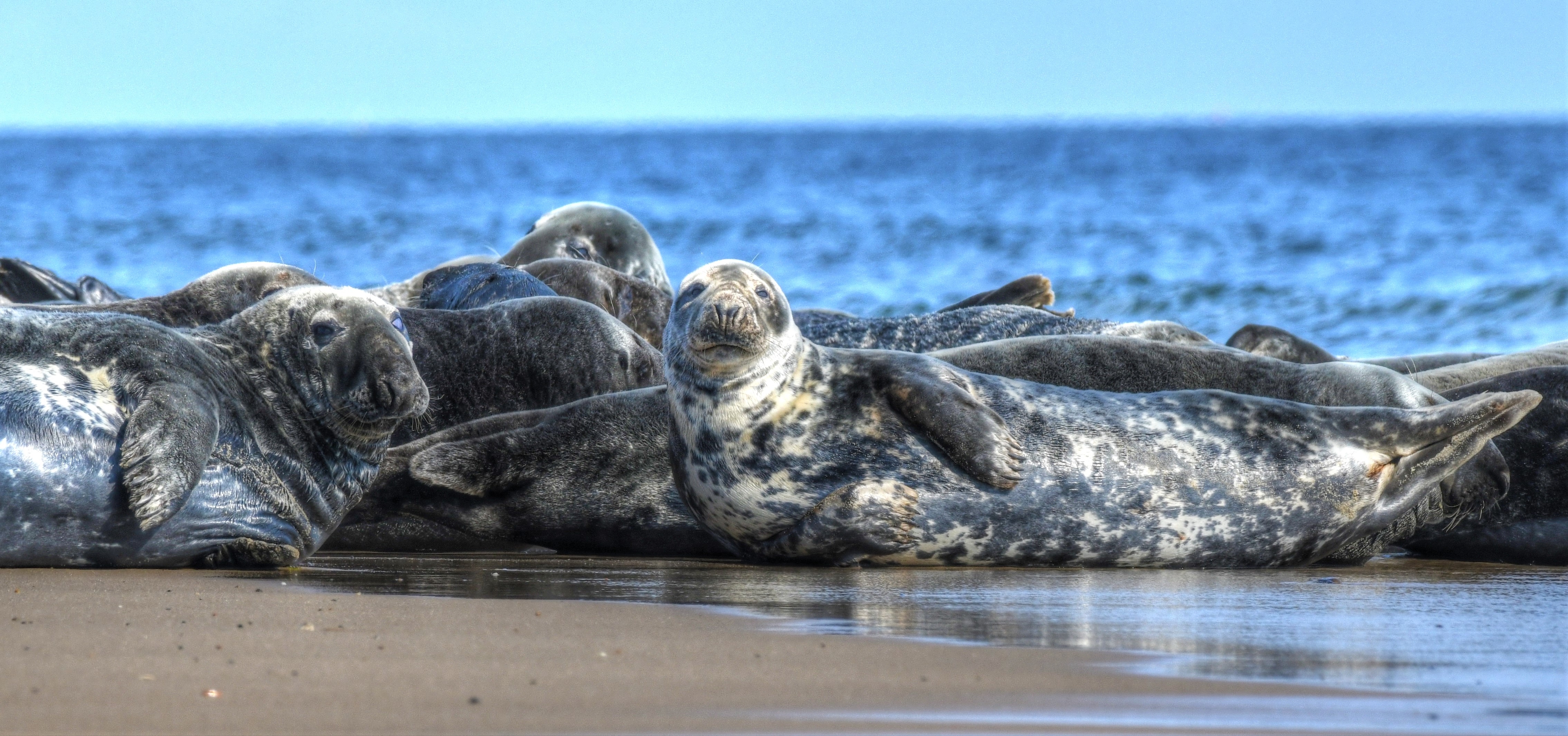 Shutterstock 2091268420