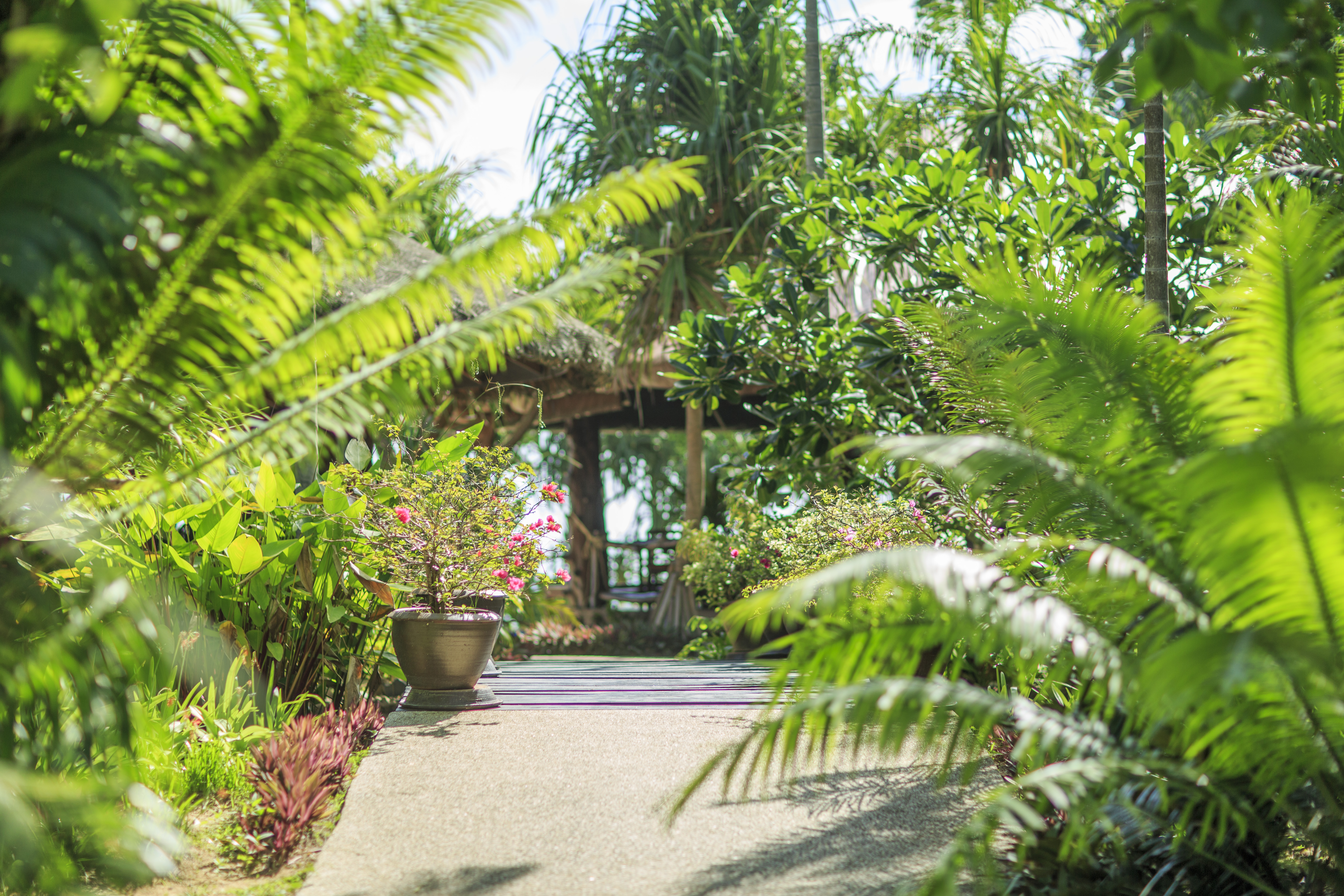 Entrance Restaurant & Bar