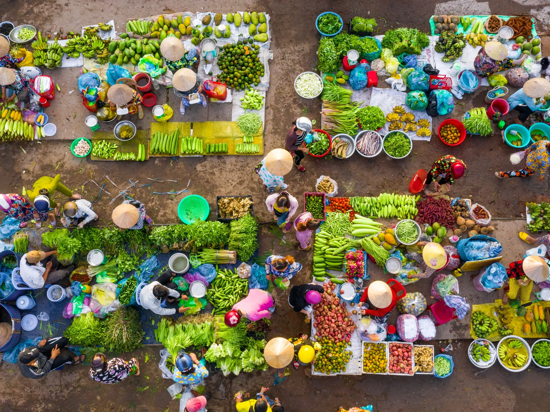 Shutterstock 2076180616