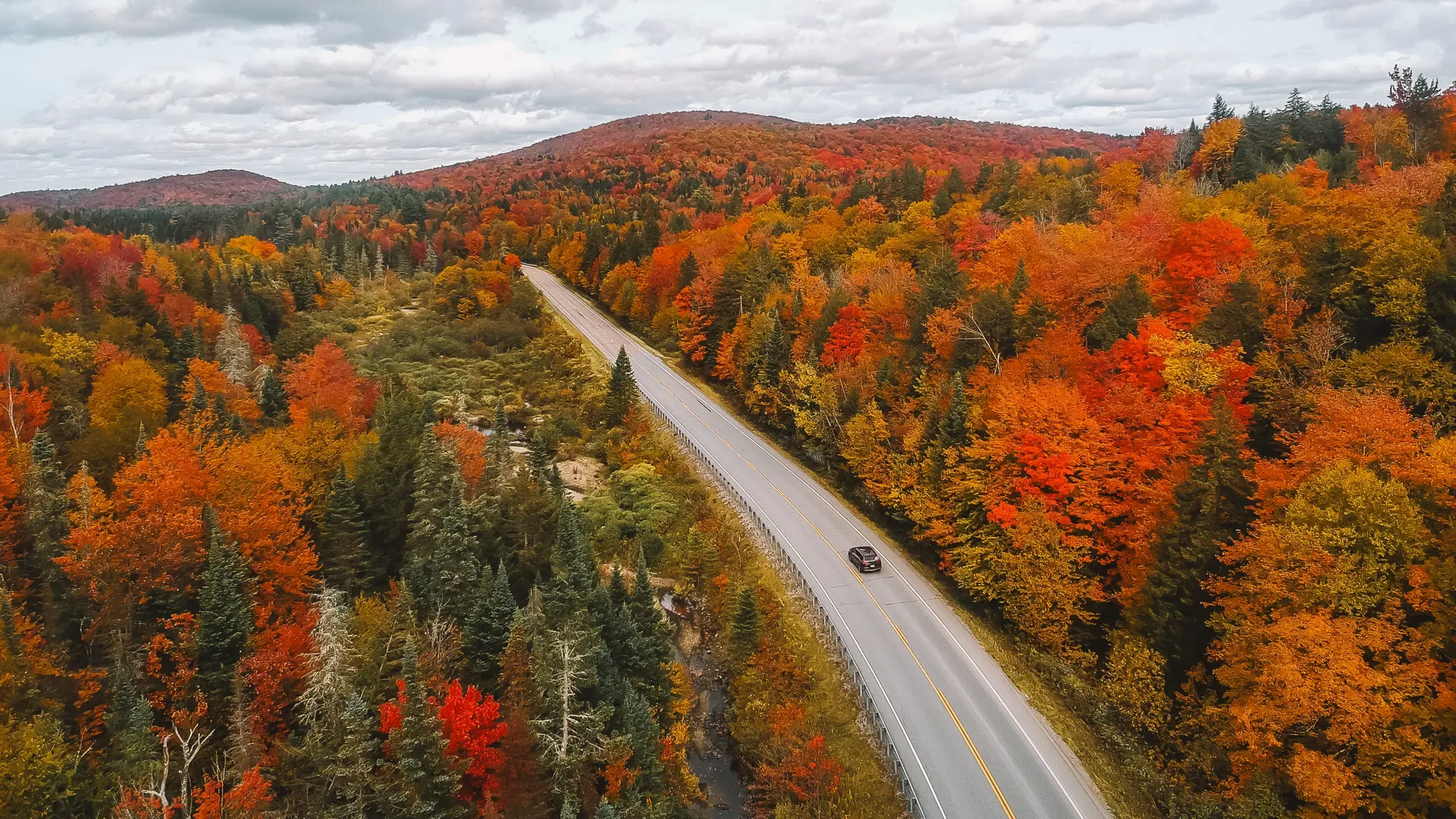 Shutterstock 2509741823