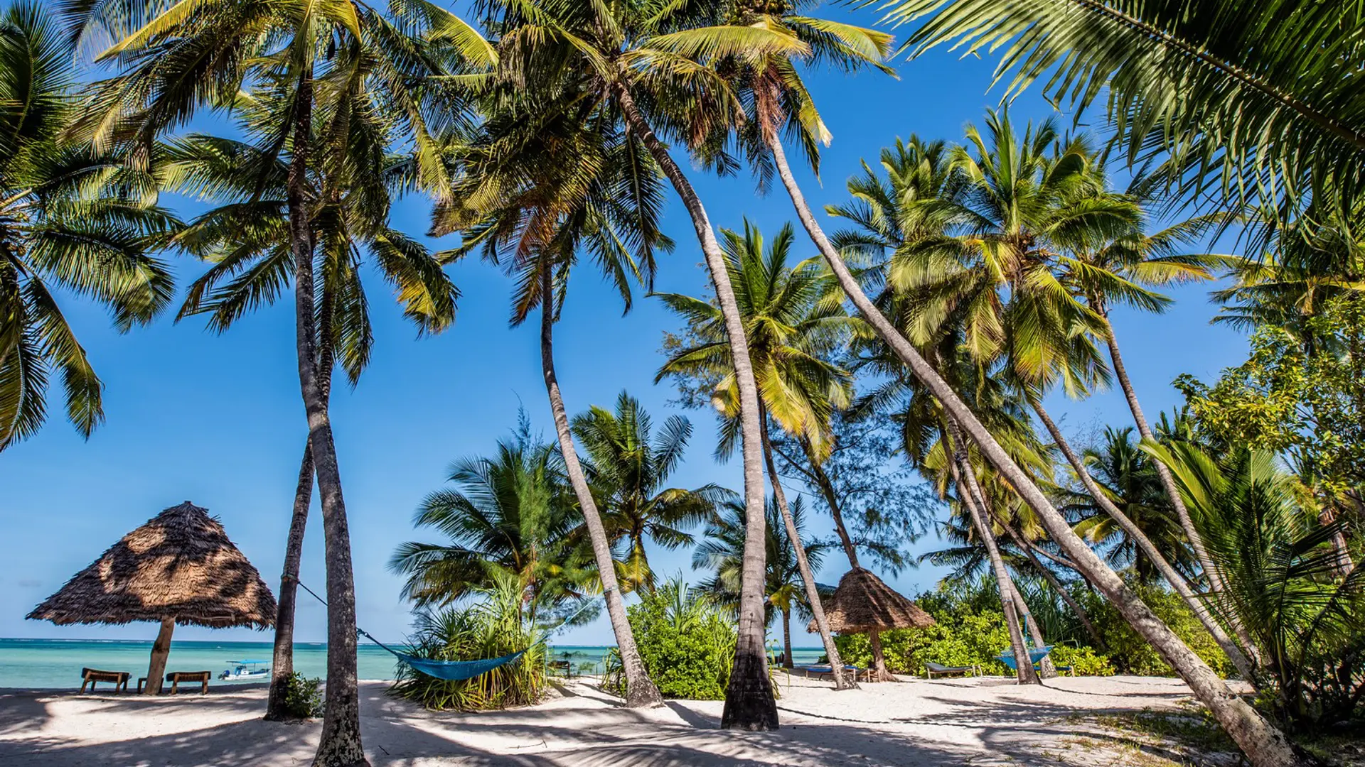 Pongwe Beach Hotel Zanzibar Hotel 100
