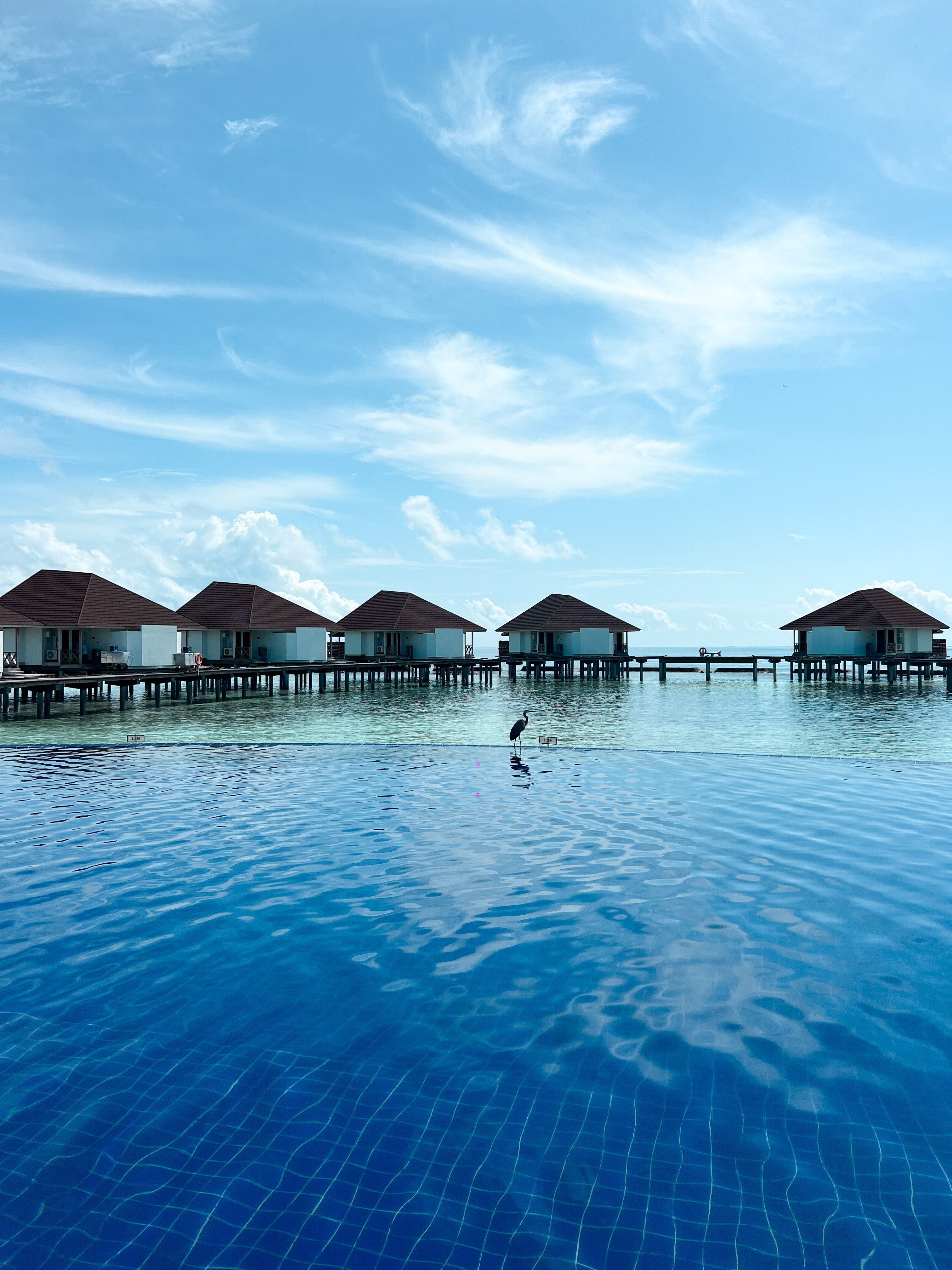 Ellaidhoo Maldives By Cinnamon @Marine Sja (57)