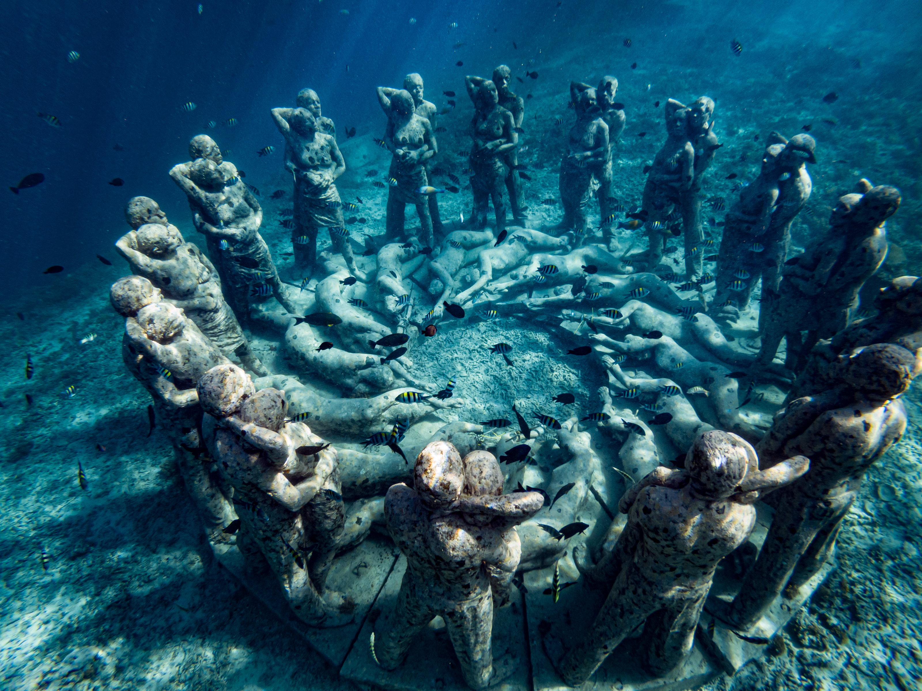 Shutterstock 1556148581 (Beautiful Underwater View Of Bask Nest Sculpture Surrounded By Colorful Fish At Bottom Of The Sea In Gili Meno Indonesia)