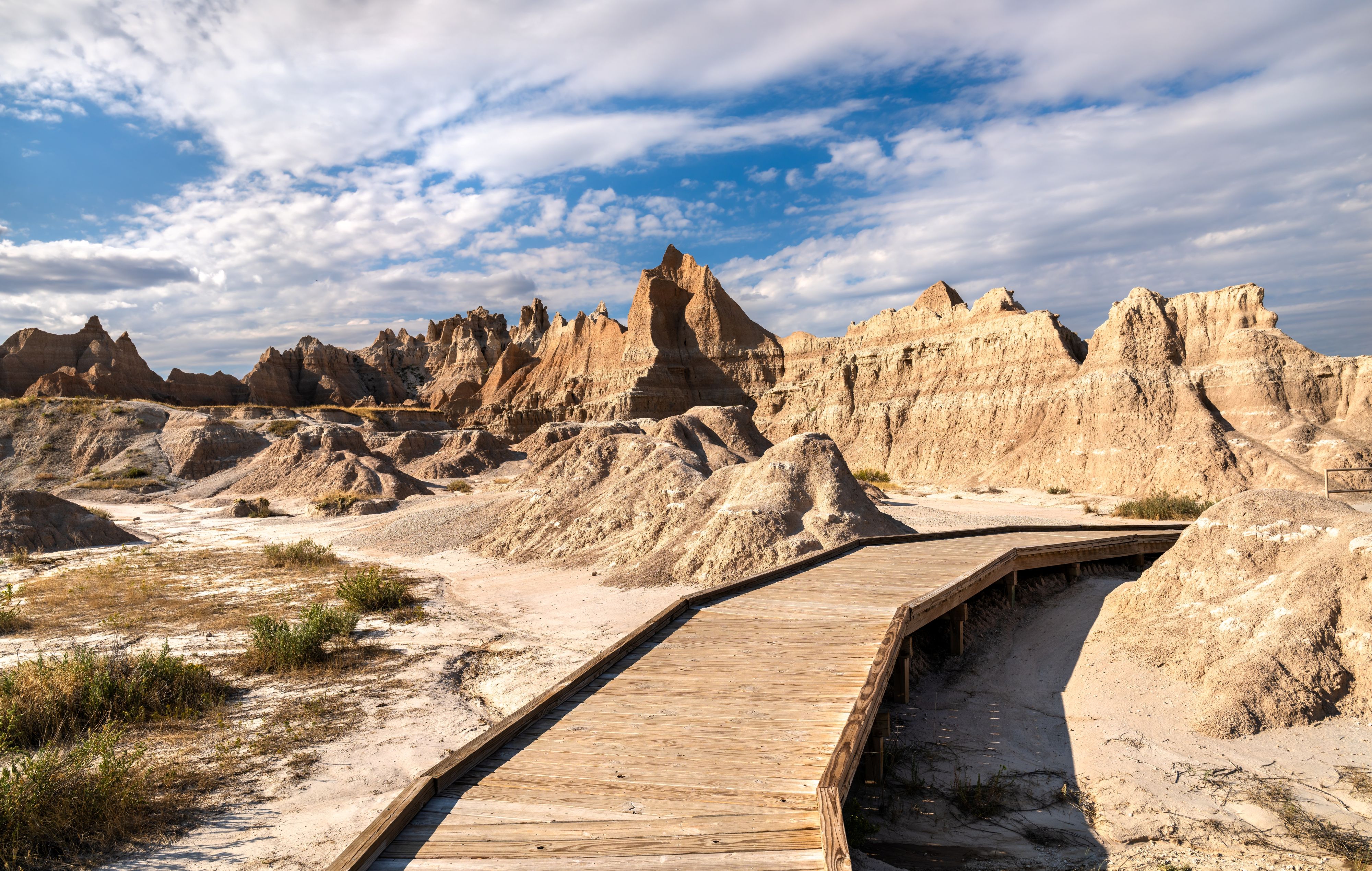 Fossil Exhibit Trail Badlands Shutterstock 2722909067