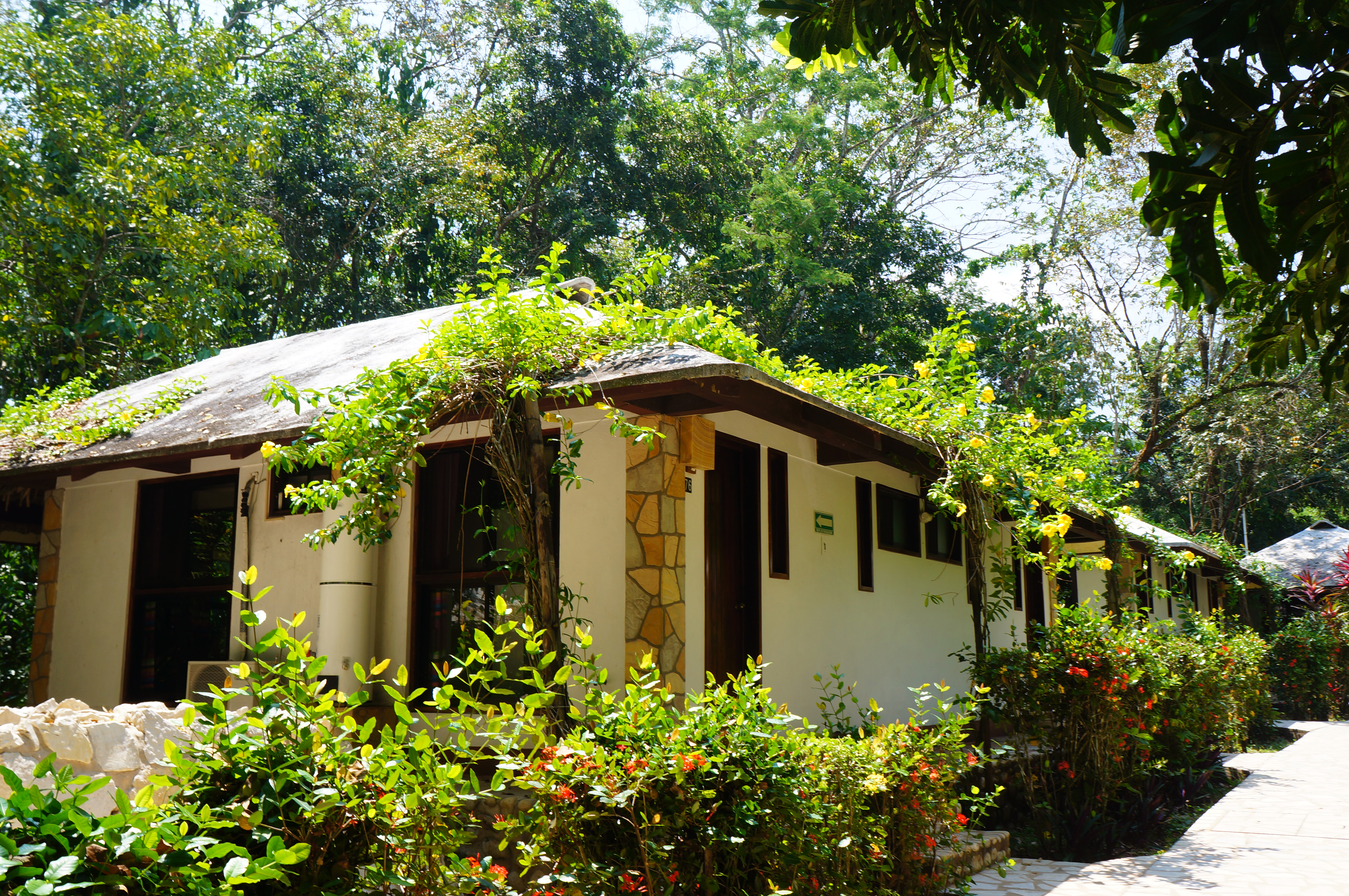 DSC07184