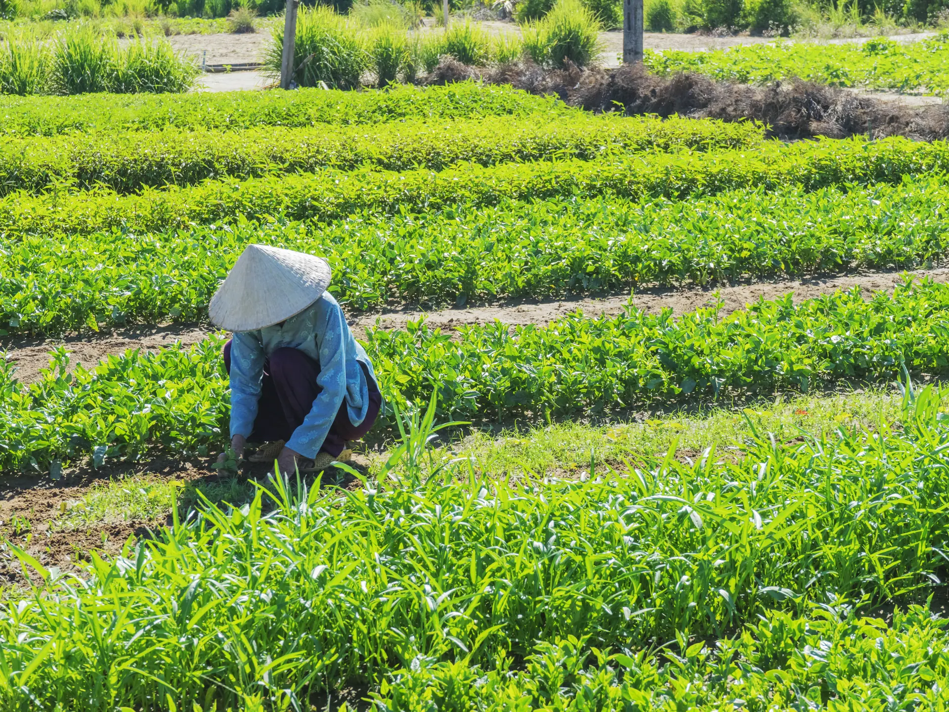 Adobestock 342808573